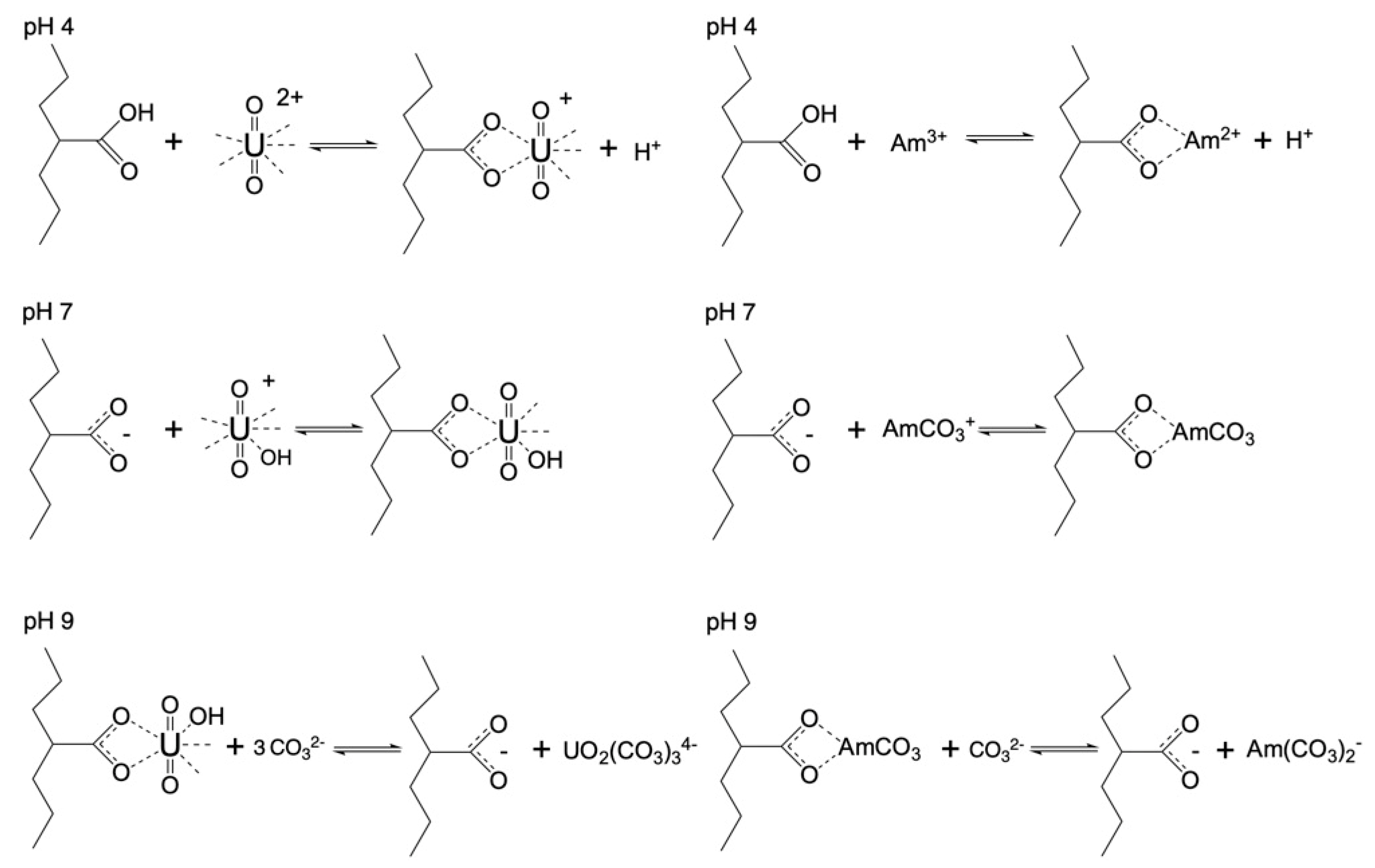 Materials 16 07479 g004