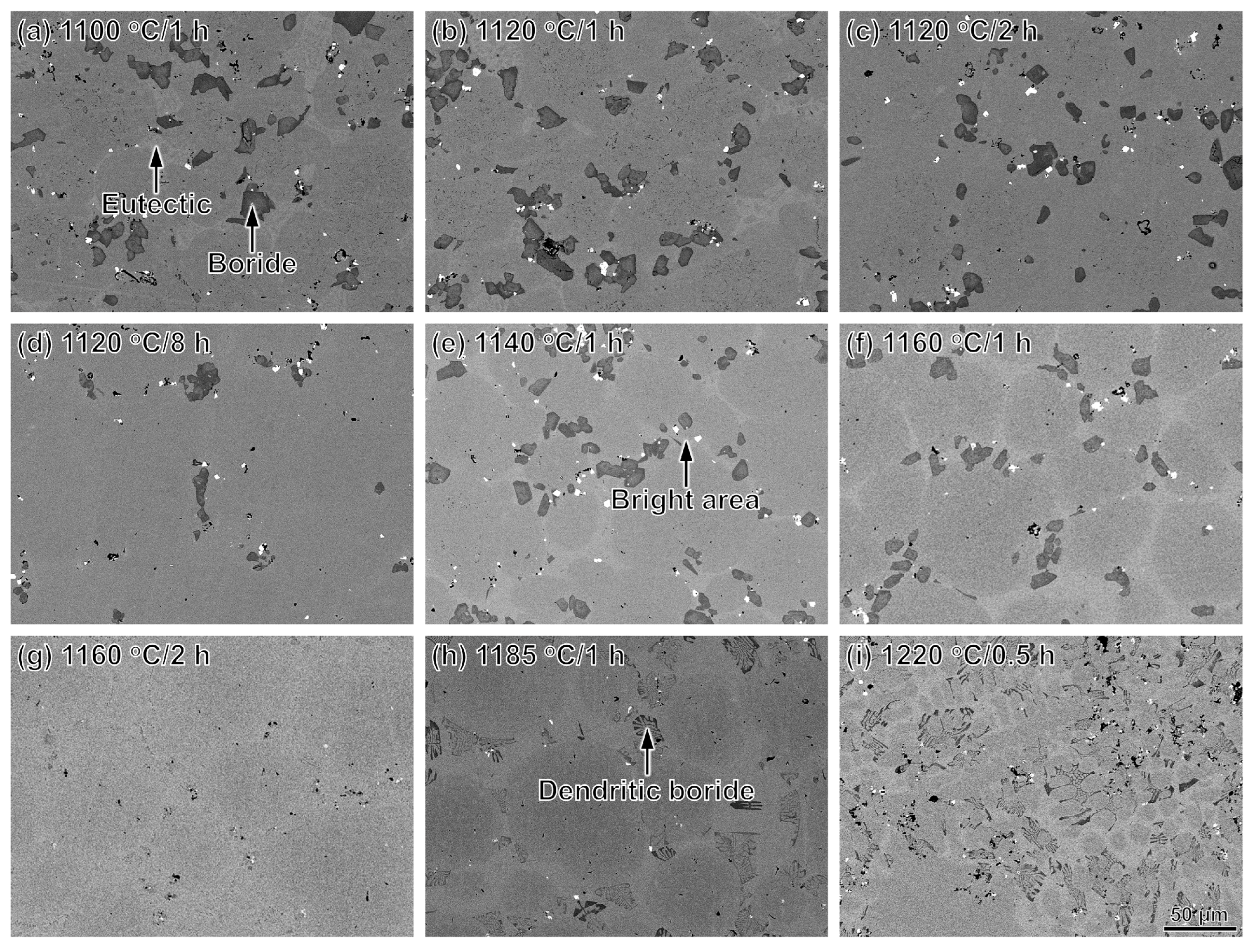 Materials 16 07483 g005