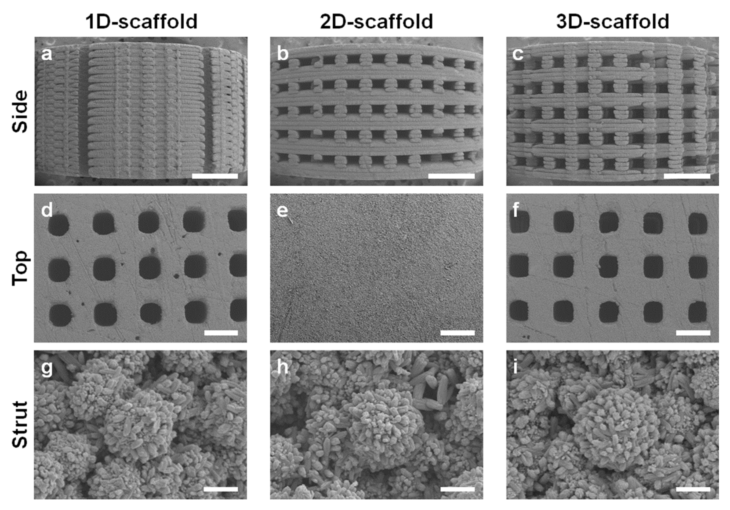 Materials 16 07518 g002