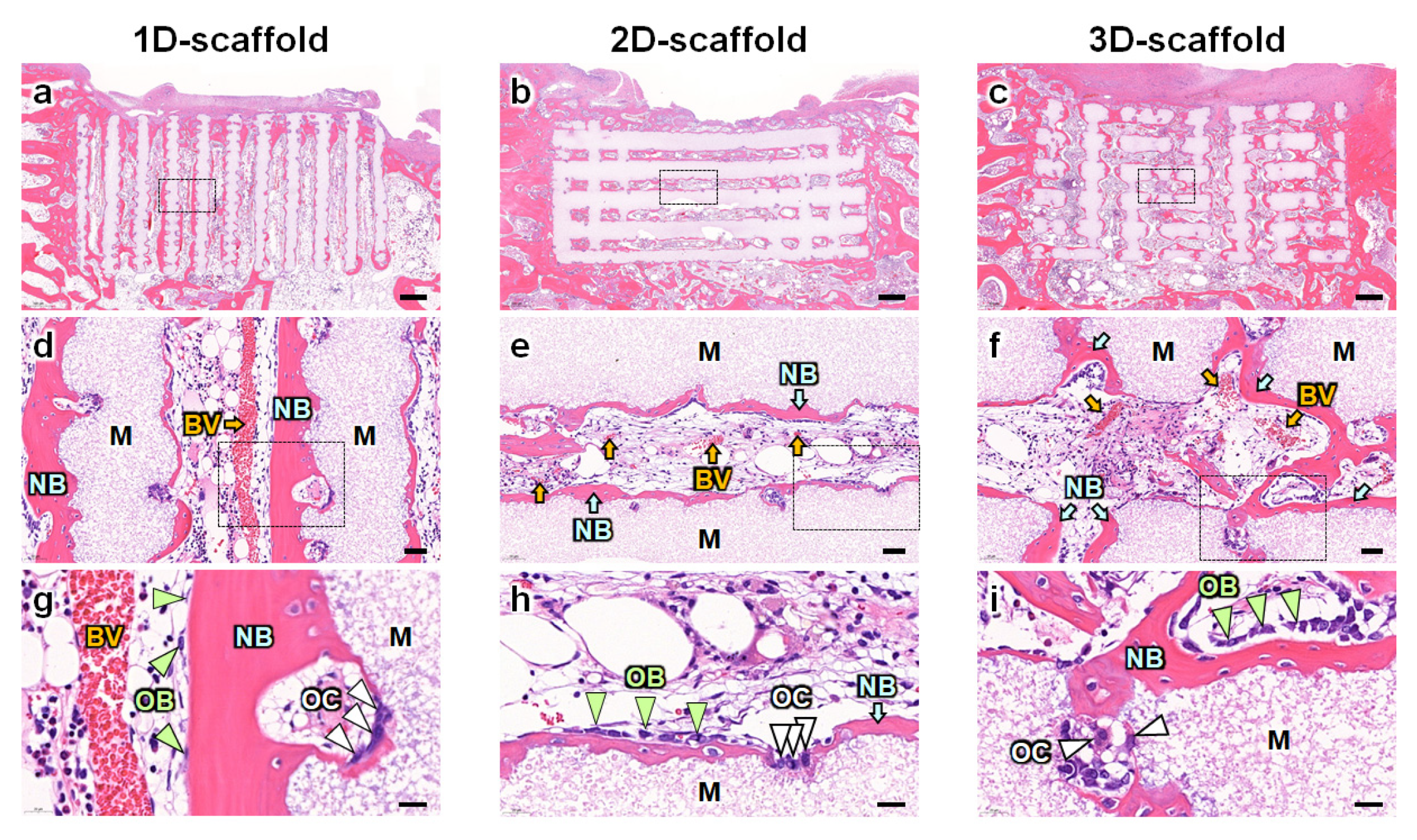 Materials 16 07518 g003