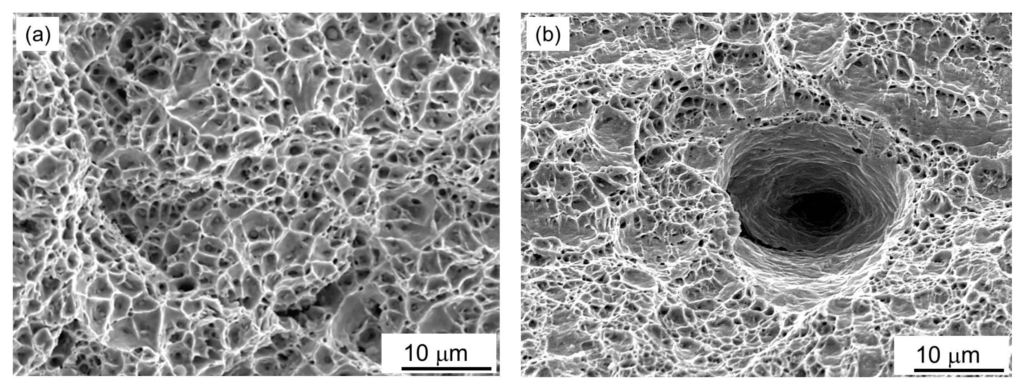 Materials 16 07520 g006
