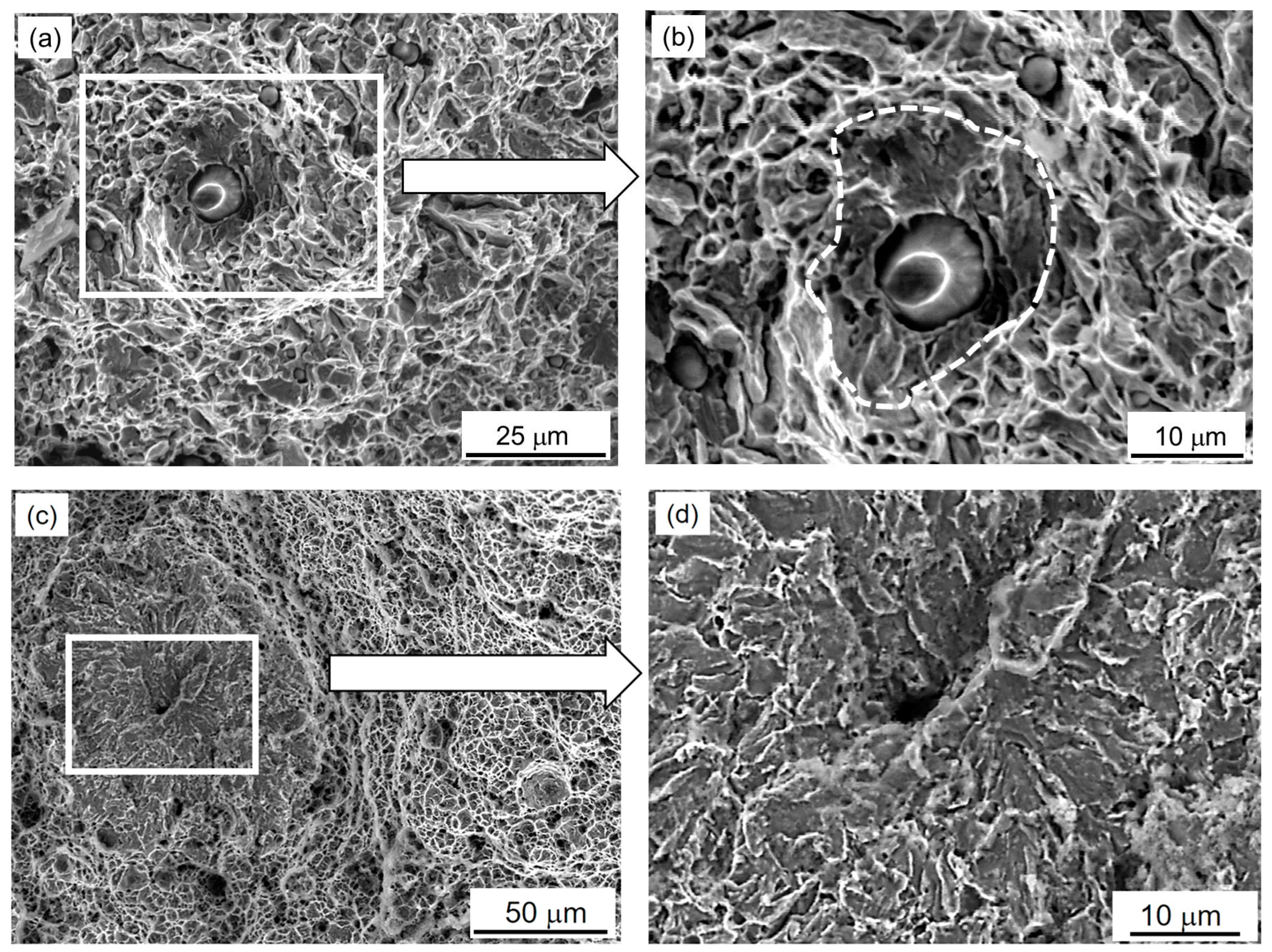Materials 16 07520 g007