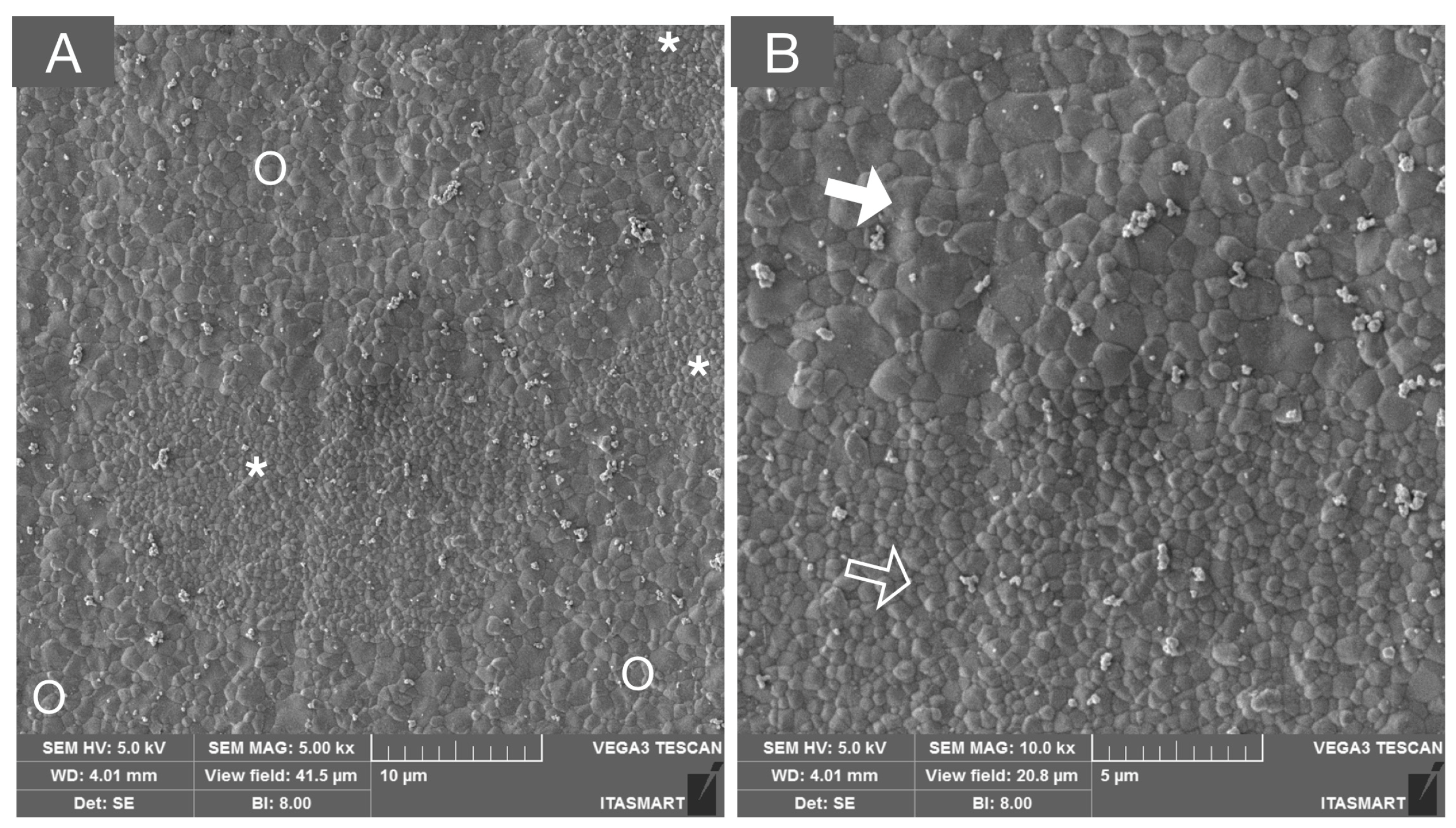 Materials 16 07541 g005