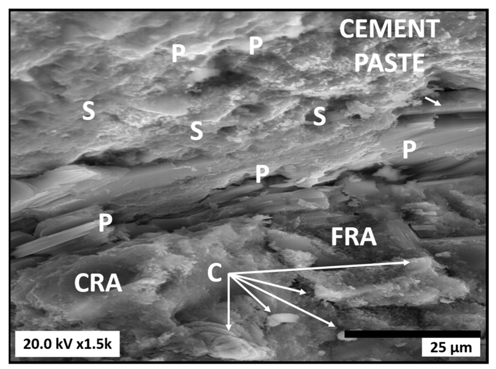 Materials 16 07544 g007