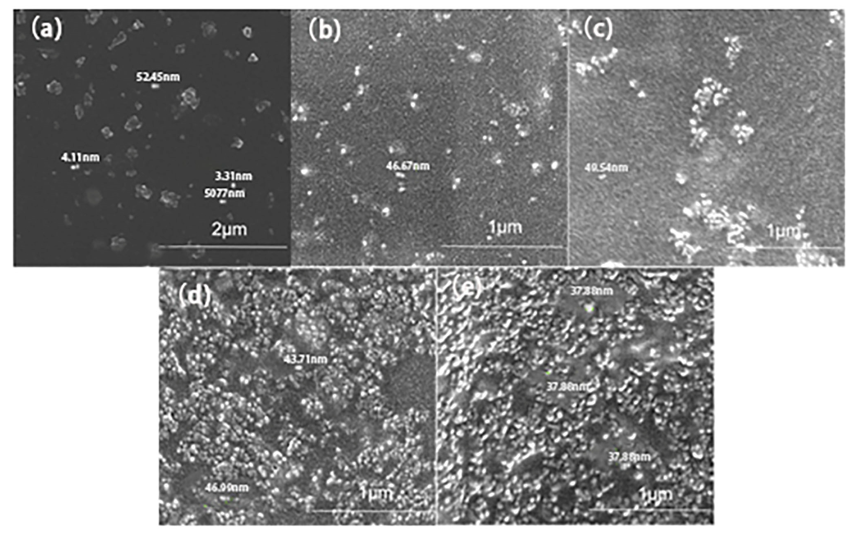 Materials 16 07576 g003