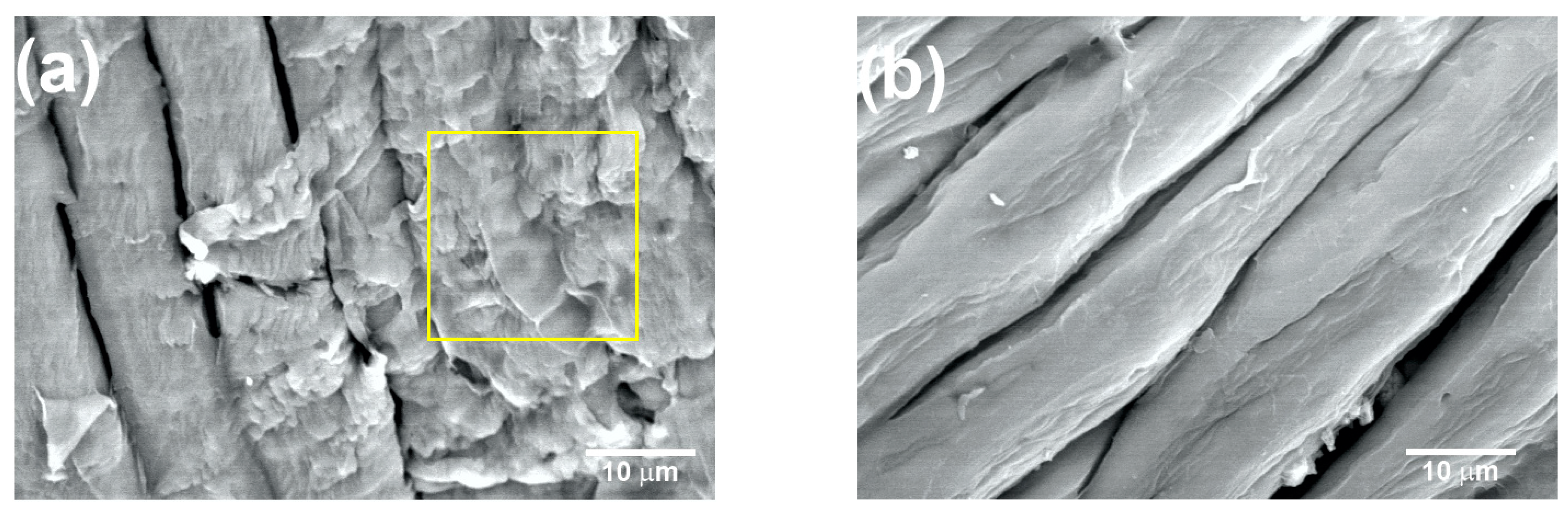 Materials 16 07607 g008