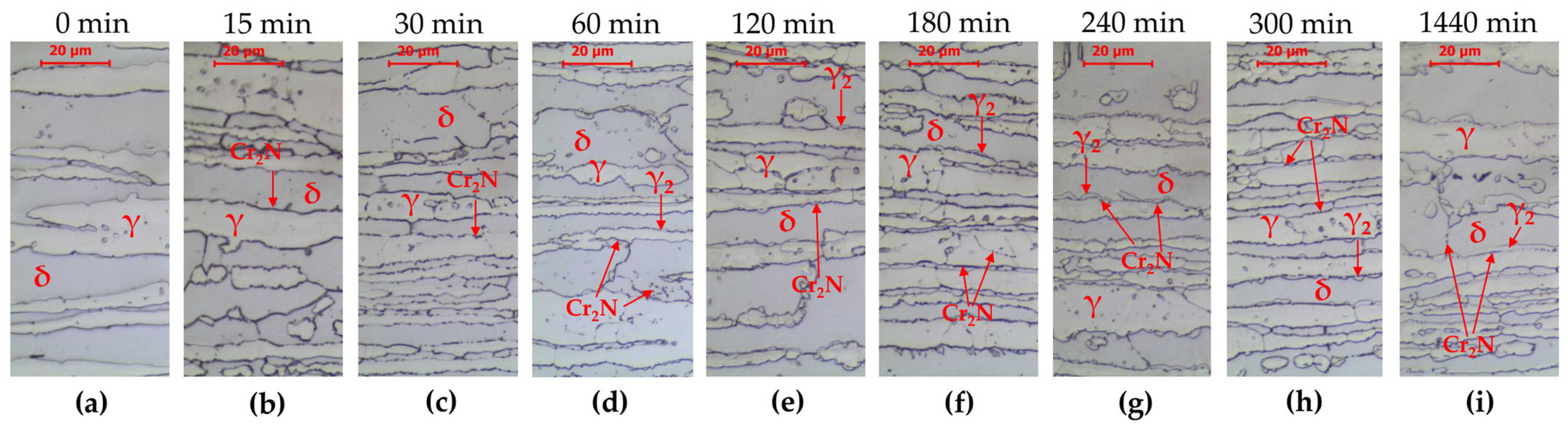 Materials 16 07628 g002