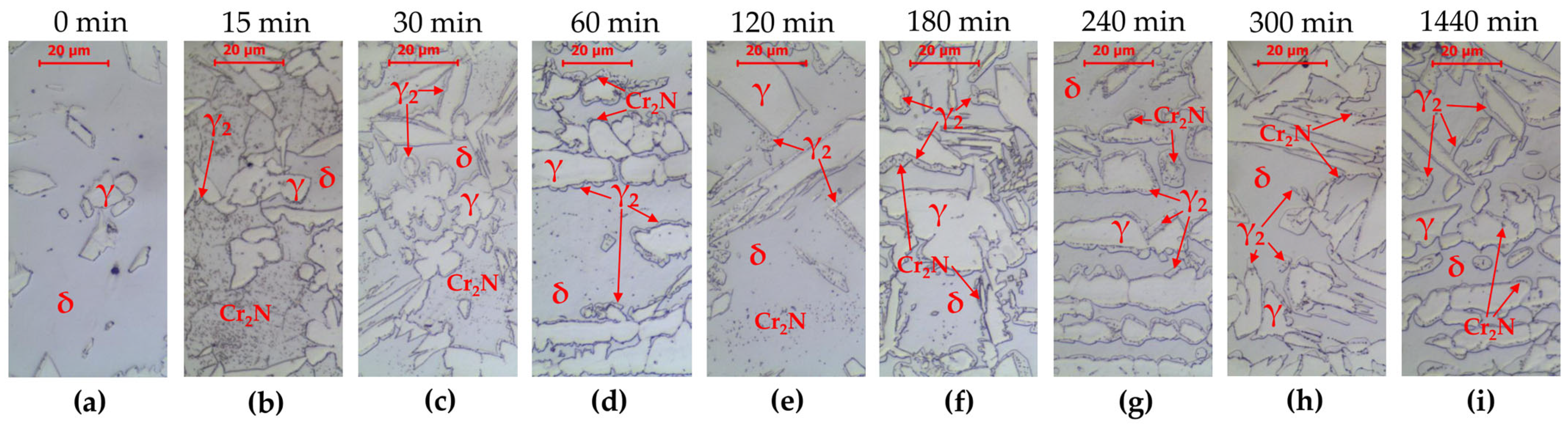 Materials 16 07628 g005