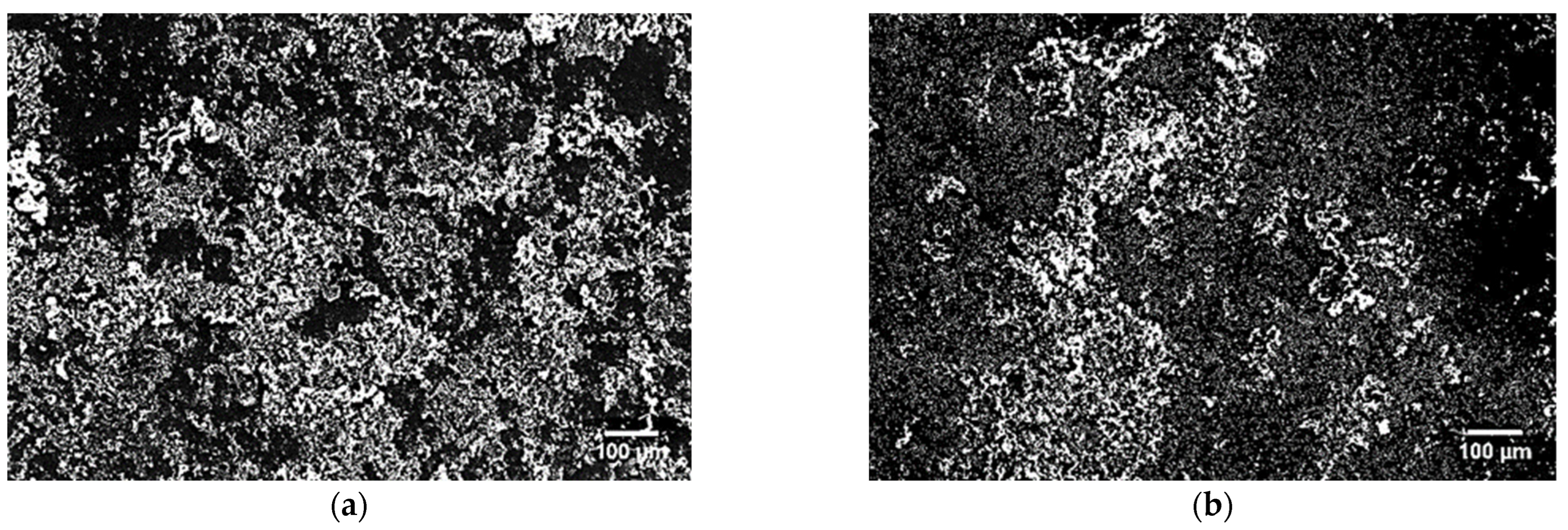 Materials 16 07637 g005