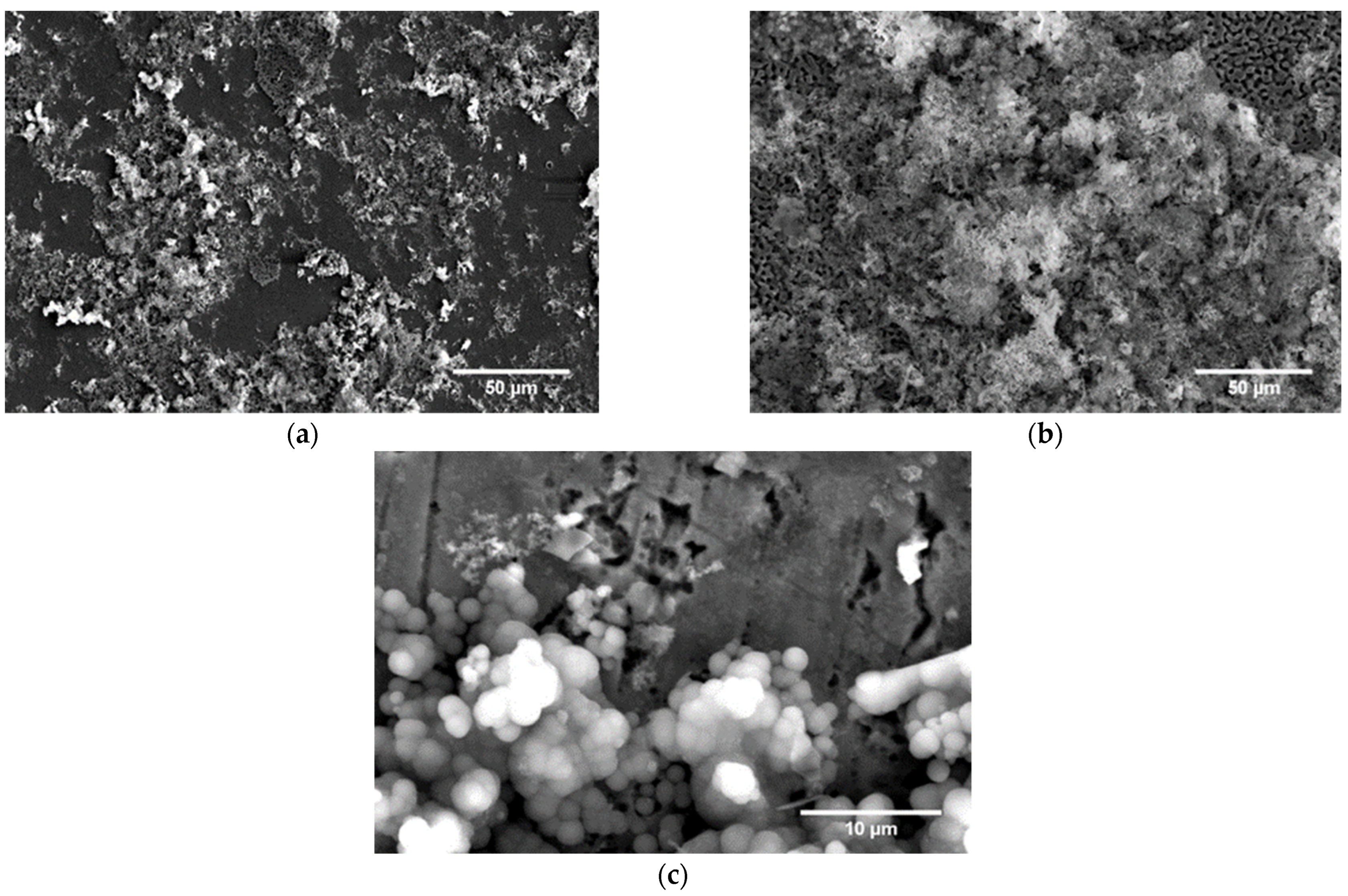 Materials 16 07637 g006