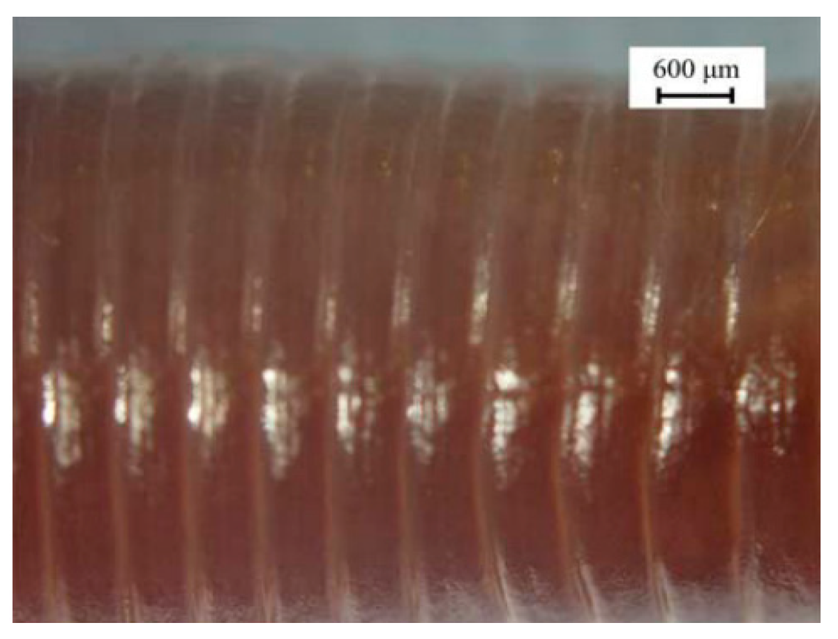 Materials 16 07646 i001