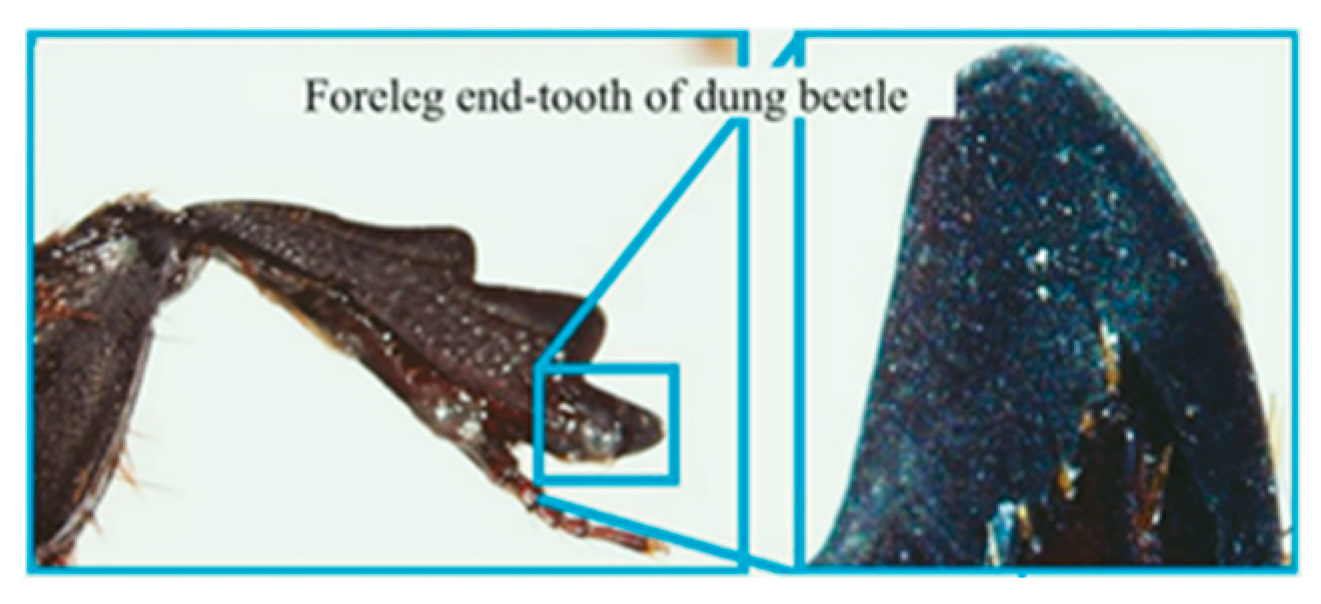 Materials 16 07646 i005