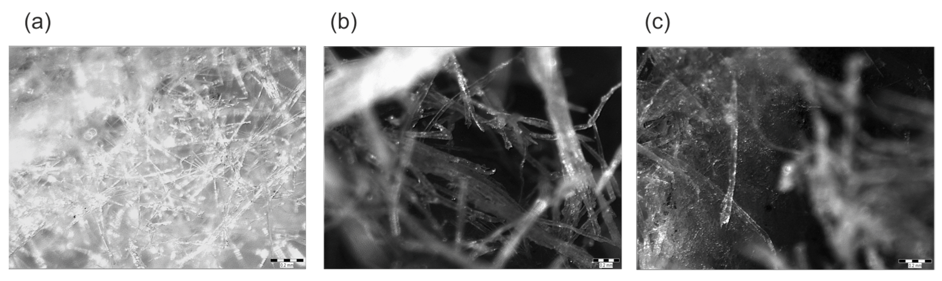 Materials 16 07656 g003