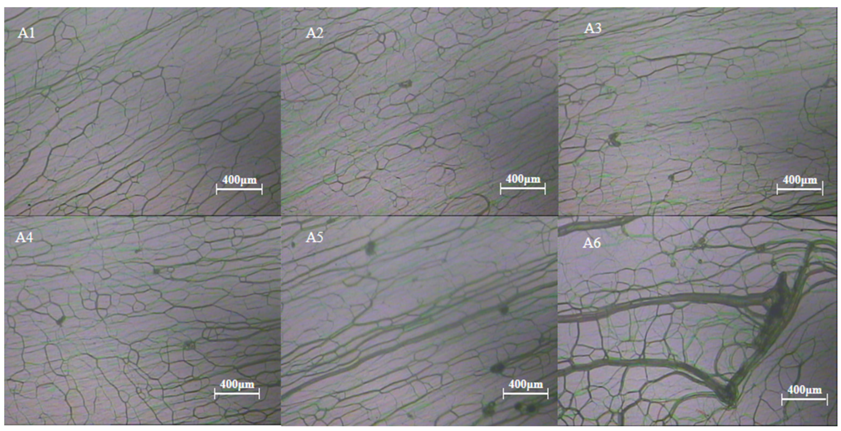 Materials 16 07660 g003