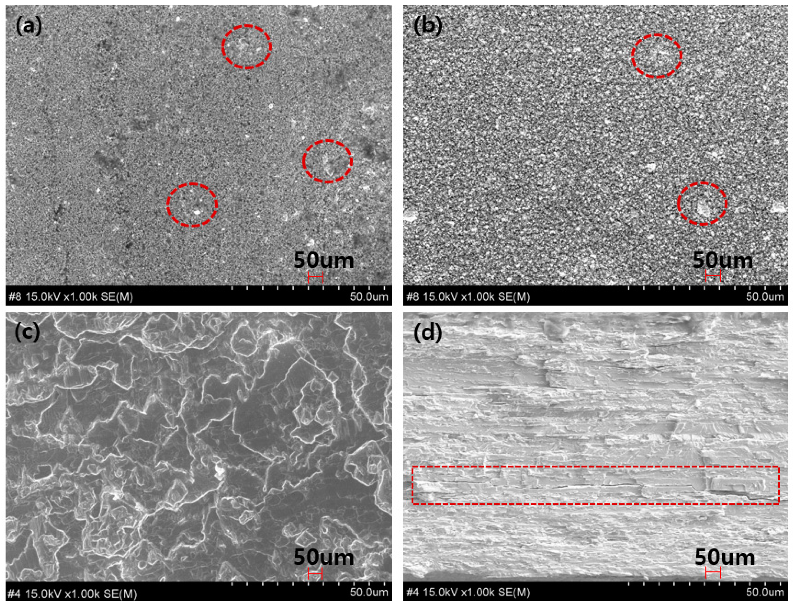 Materials 16 07700 g006