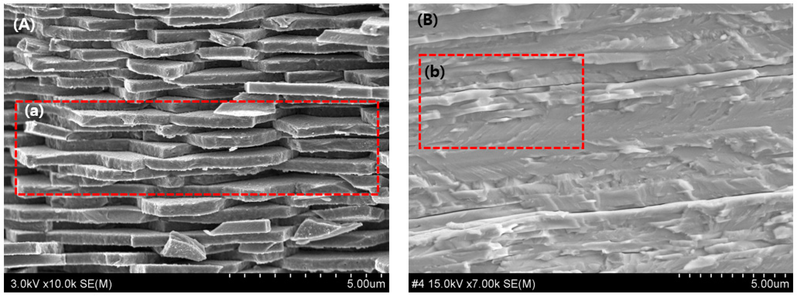 Materials 16 07700 g007