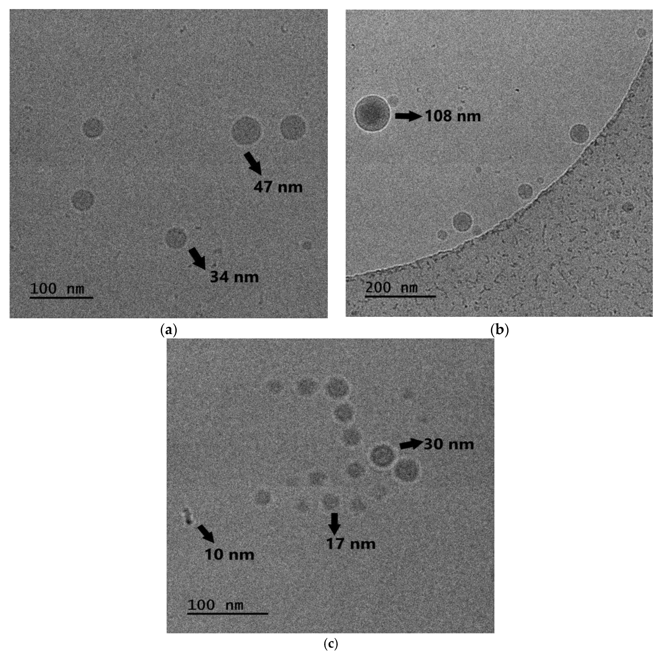 Materials 16 07702 g007