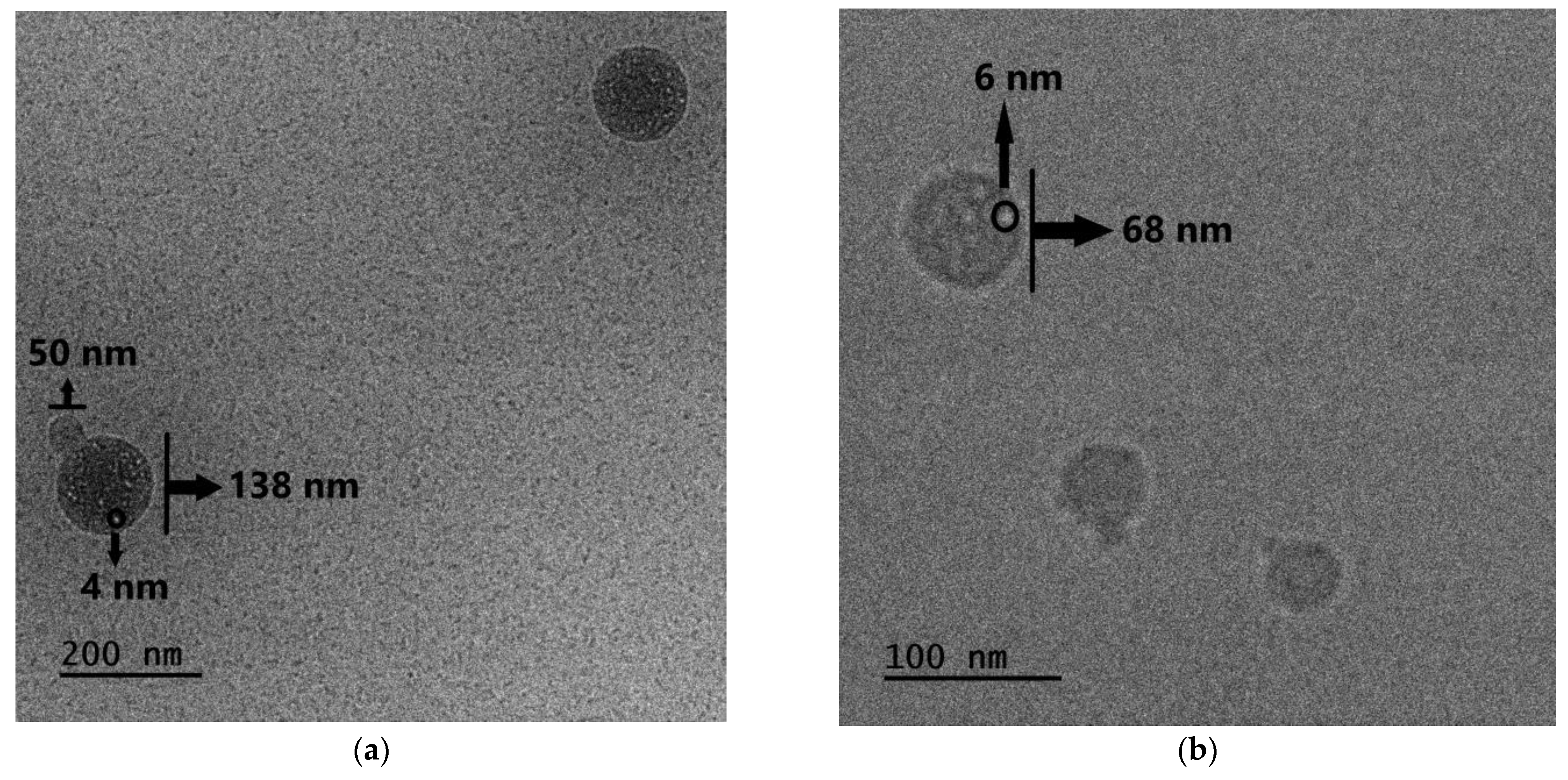 Materials 16 07702 g010