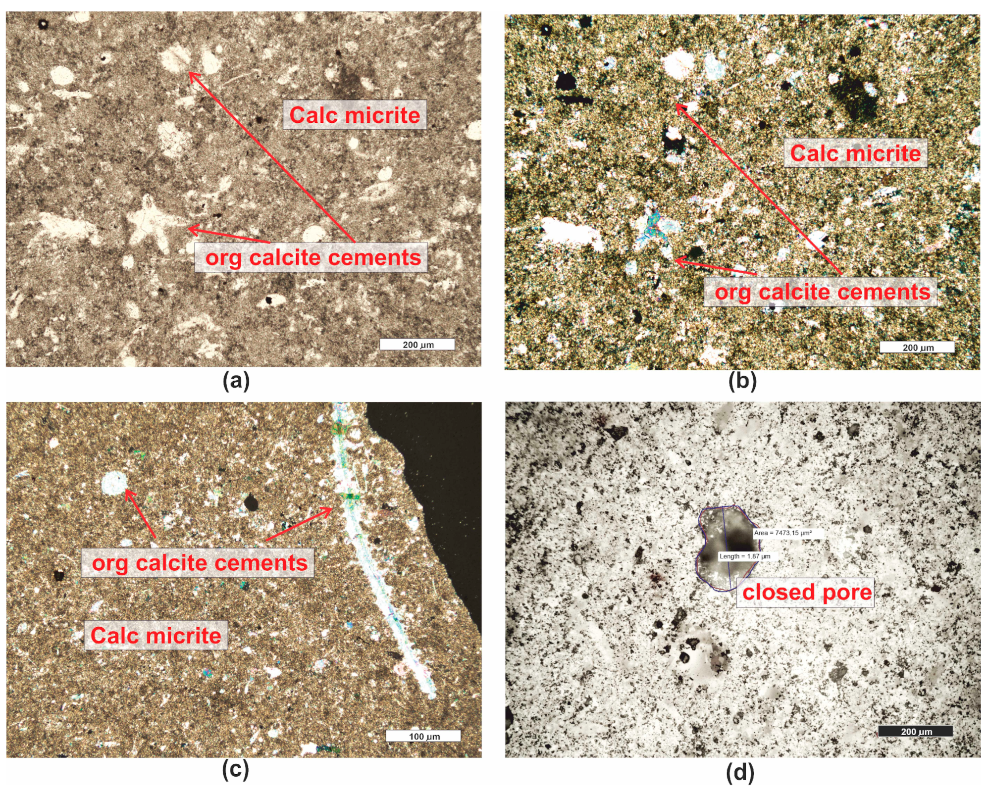 Materials 16 07706 g006