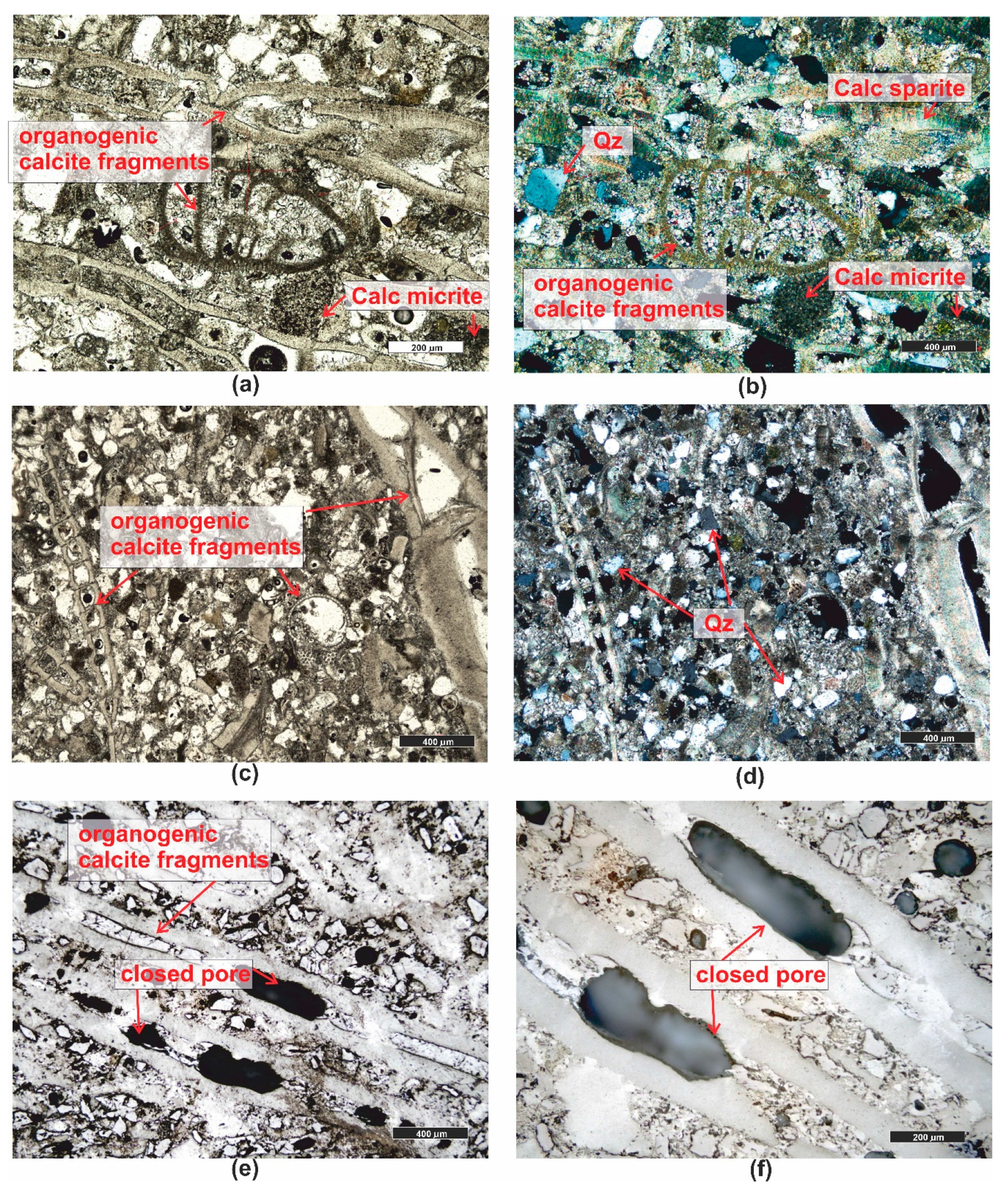 Materials 16 07706 g010