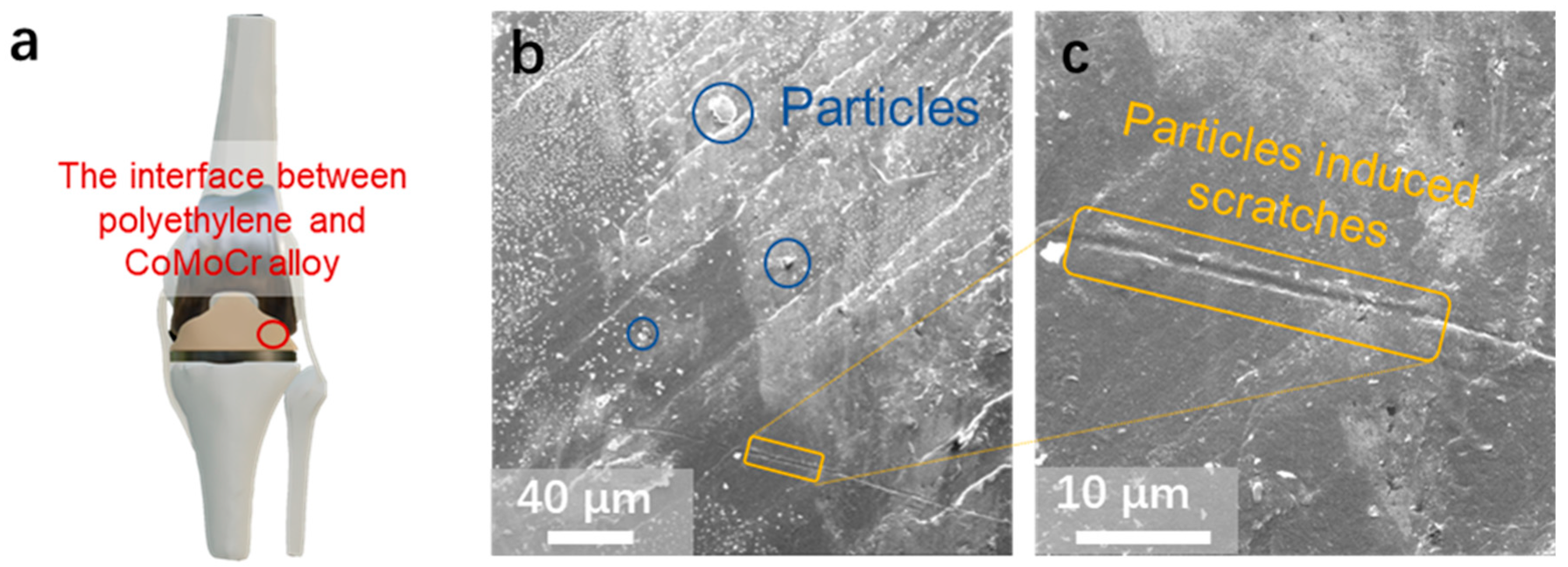 Materials 17 00008 g001