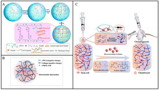 Materials 17 00015 g005