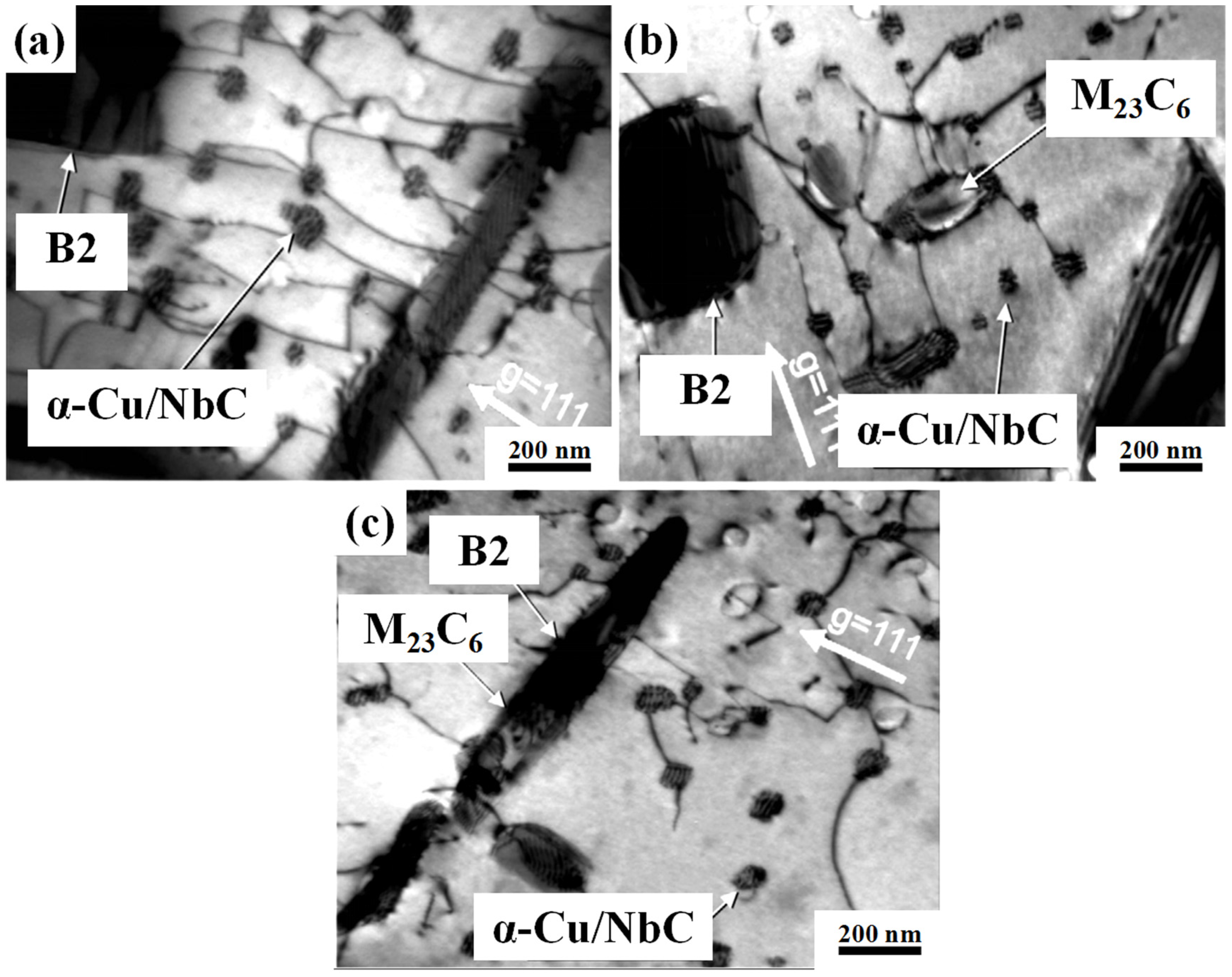 Materials 17 00019 g003