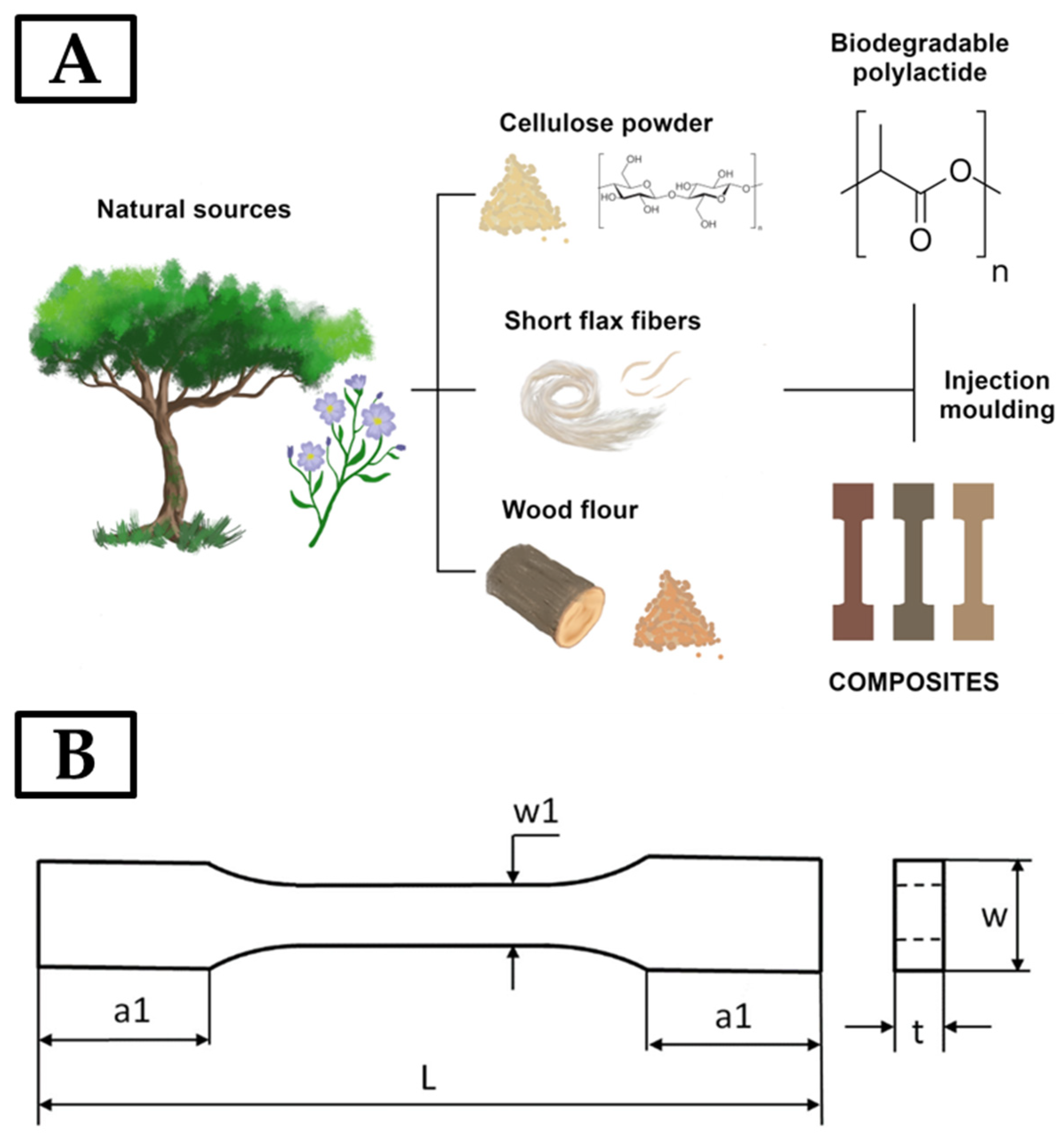 Materials 17 00022 g001