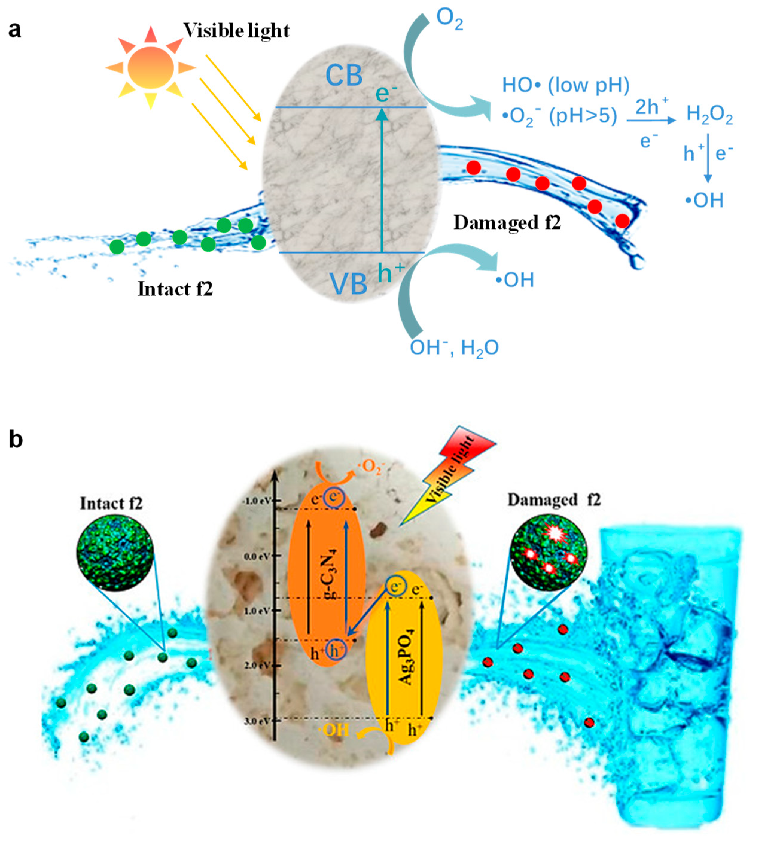 Materials 17 00044 g009