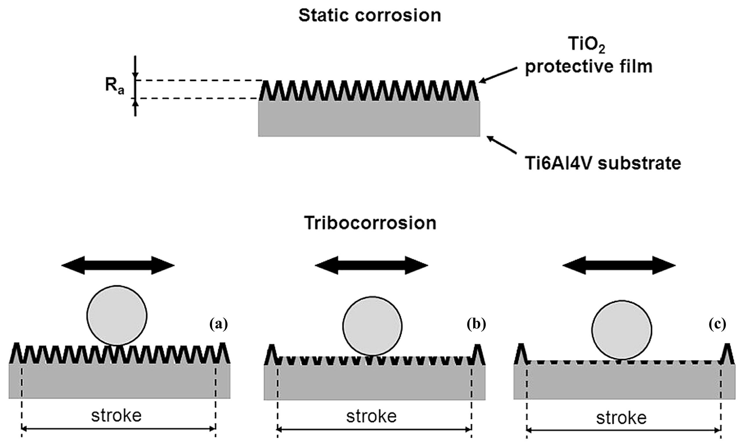 Materials 17 00065 g005