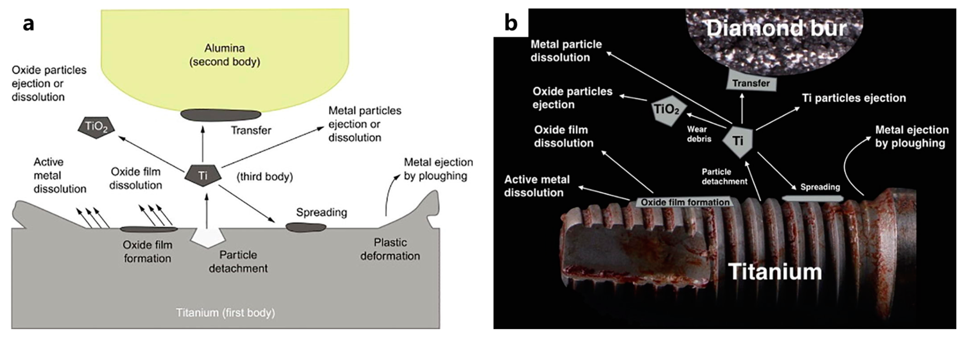 Materials 17 00065 g008