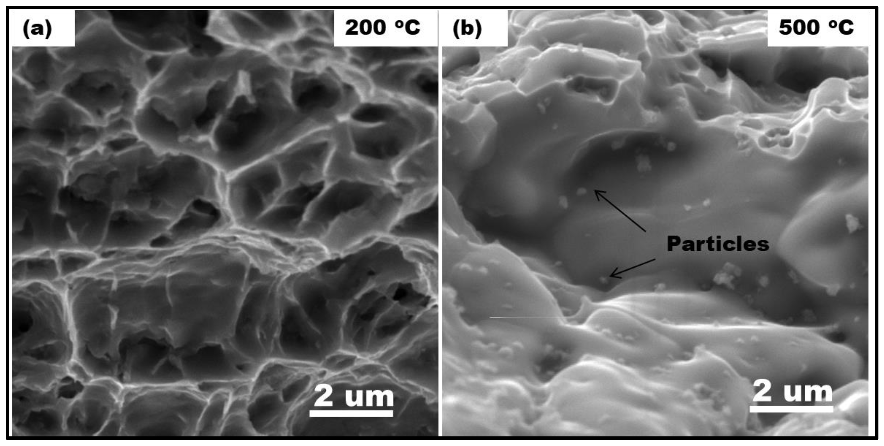 Materials 17 00084 g011