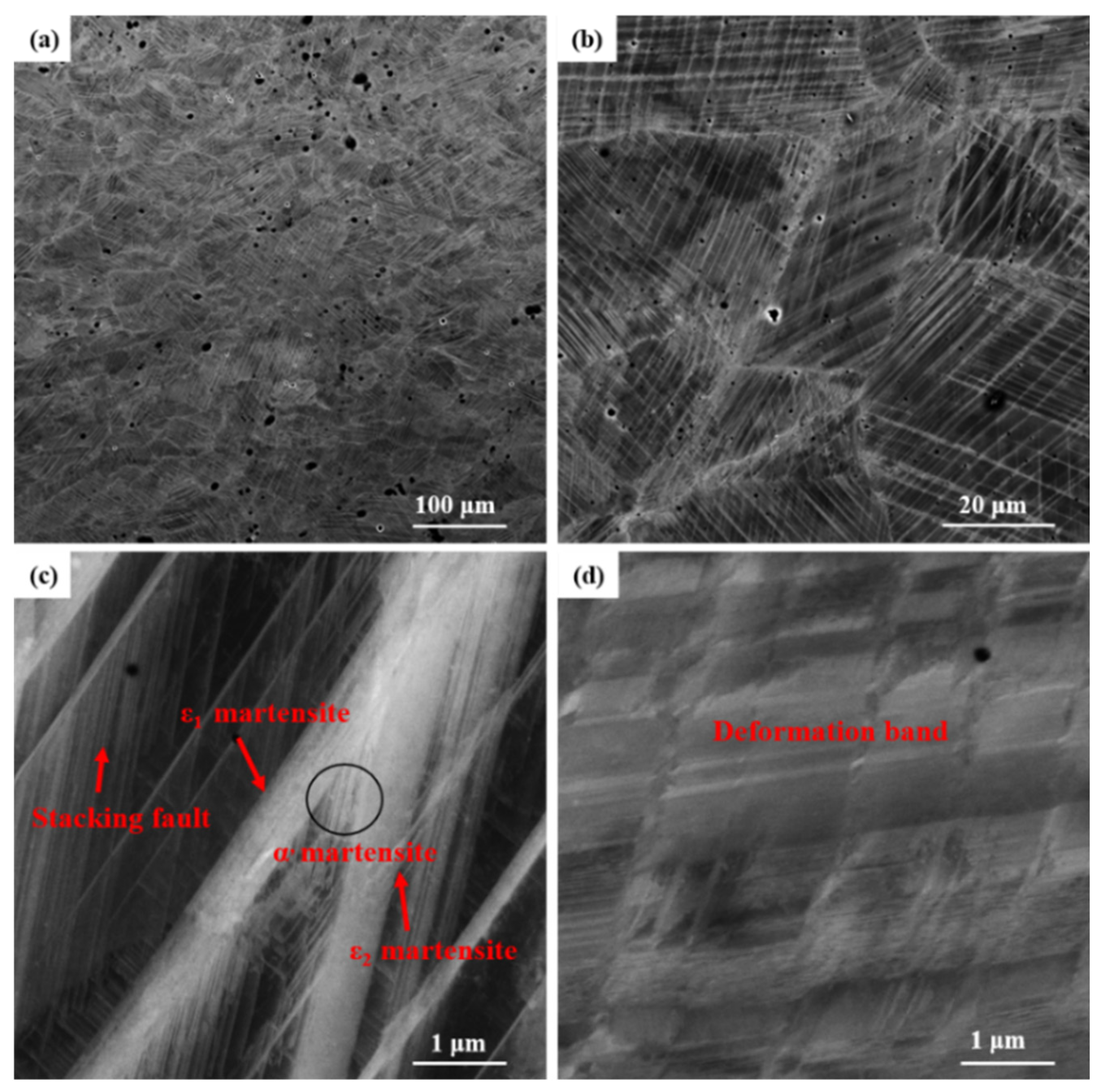 Materials 17 00131 g010