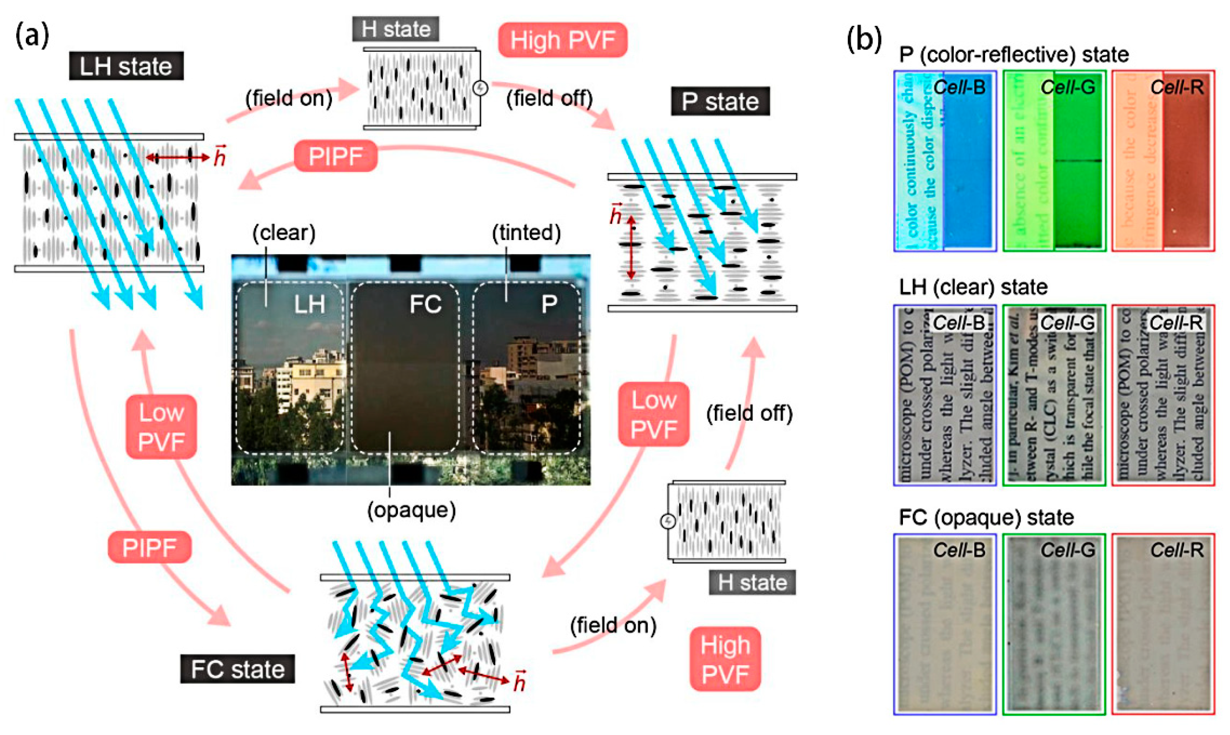 Materials 17 00136 g016