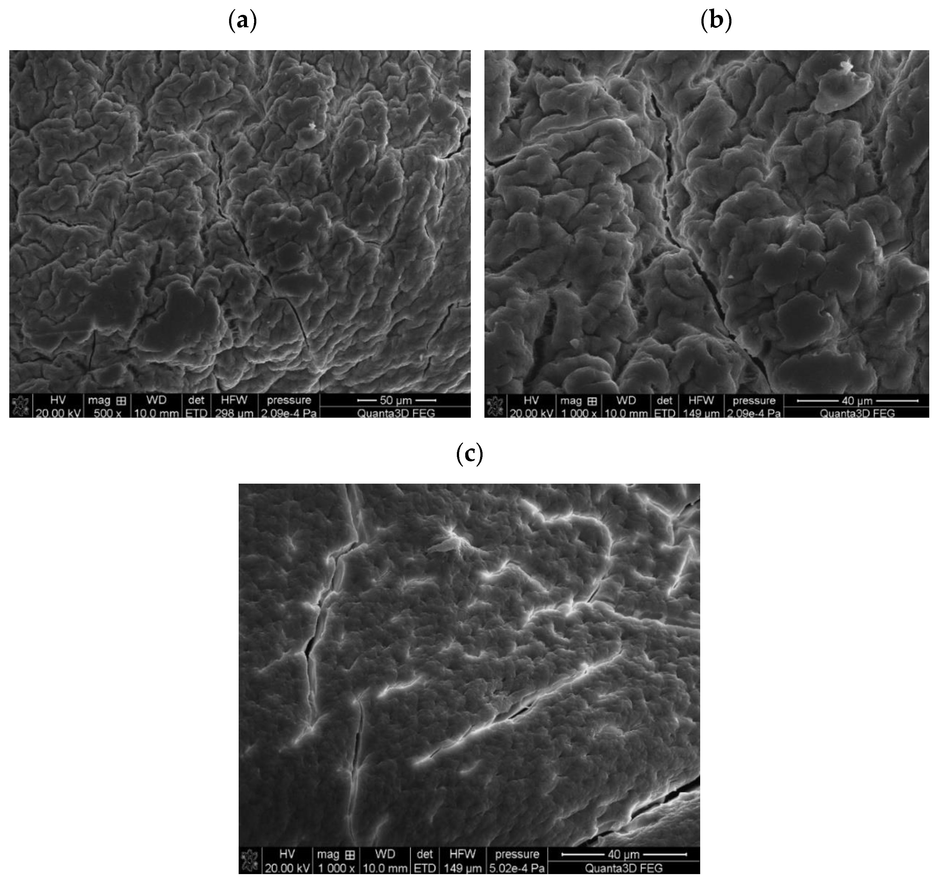 Materials 17 00141 g003