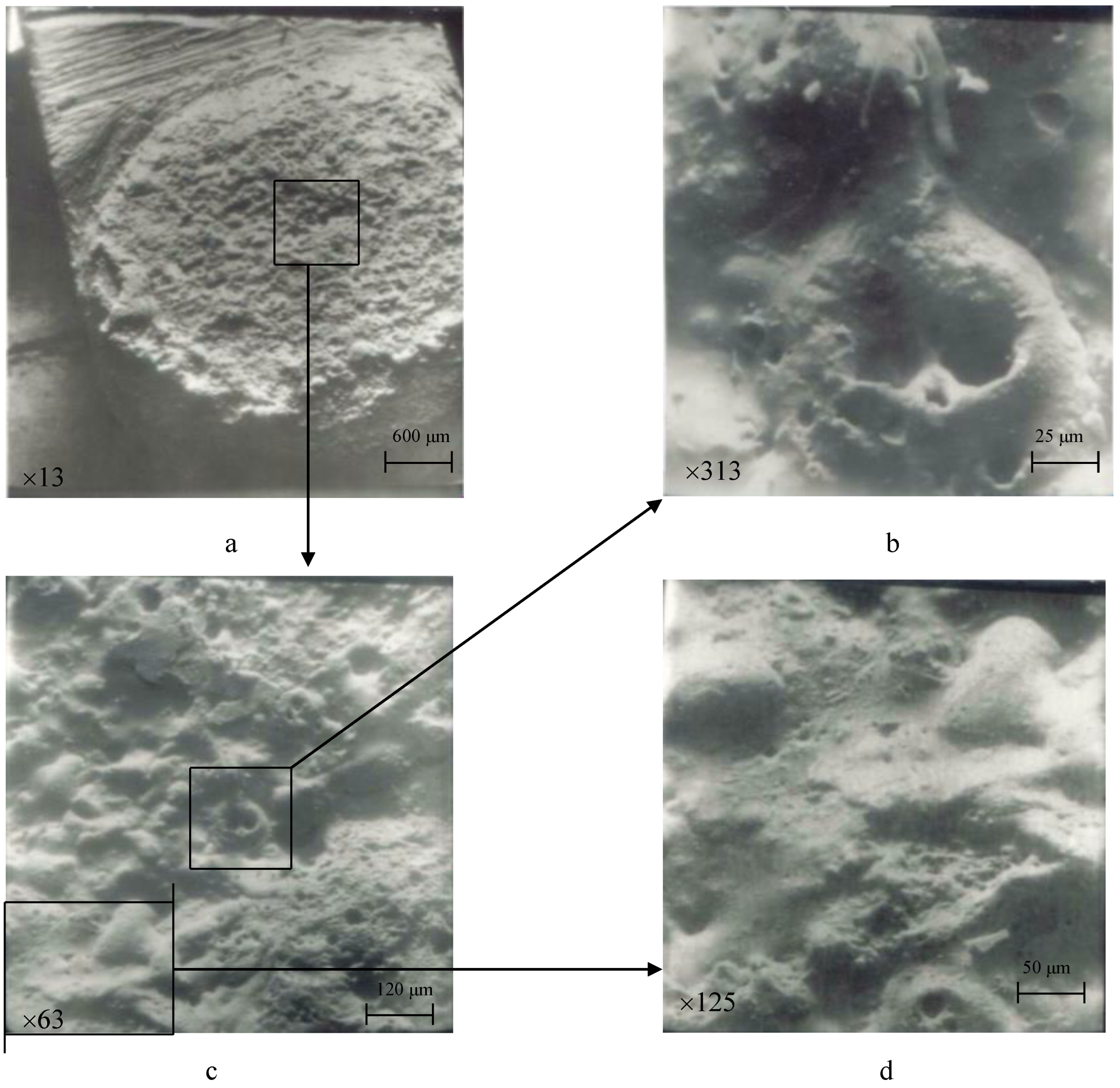 Materials 17 00145 g013