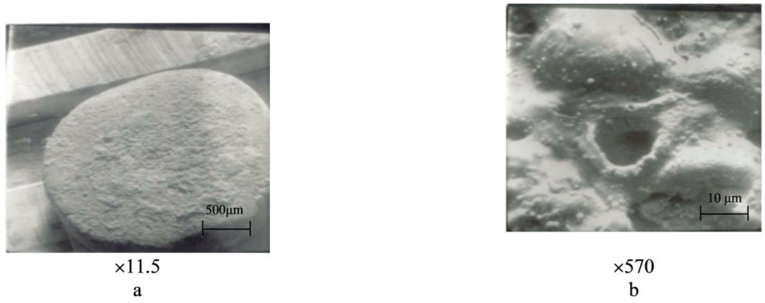 Materials 17 00145 g015