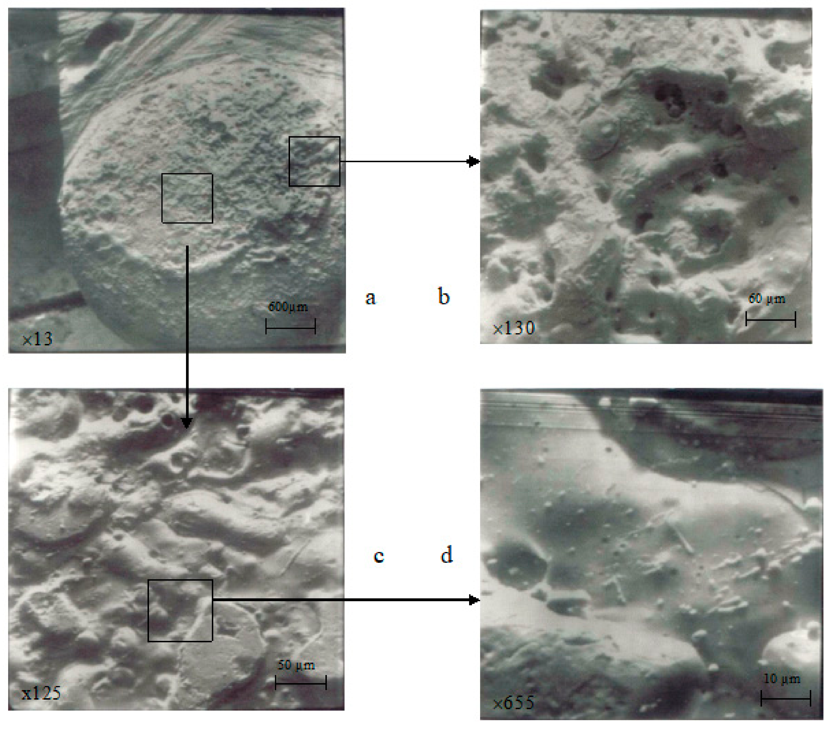 Materials 17 00145 g016