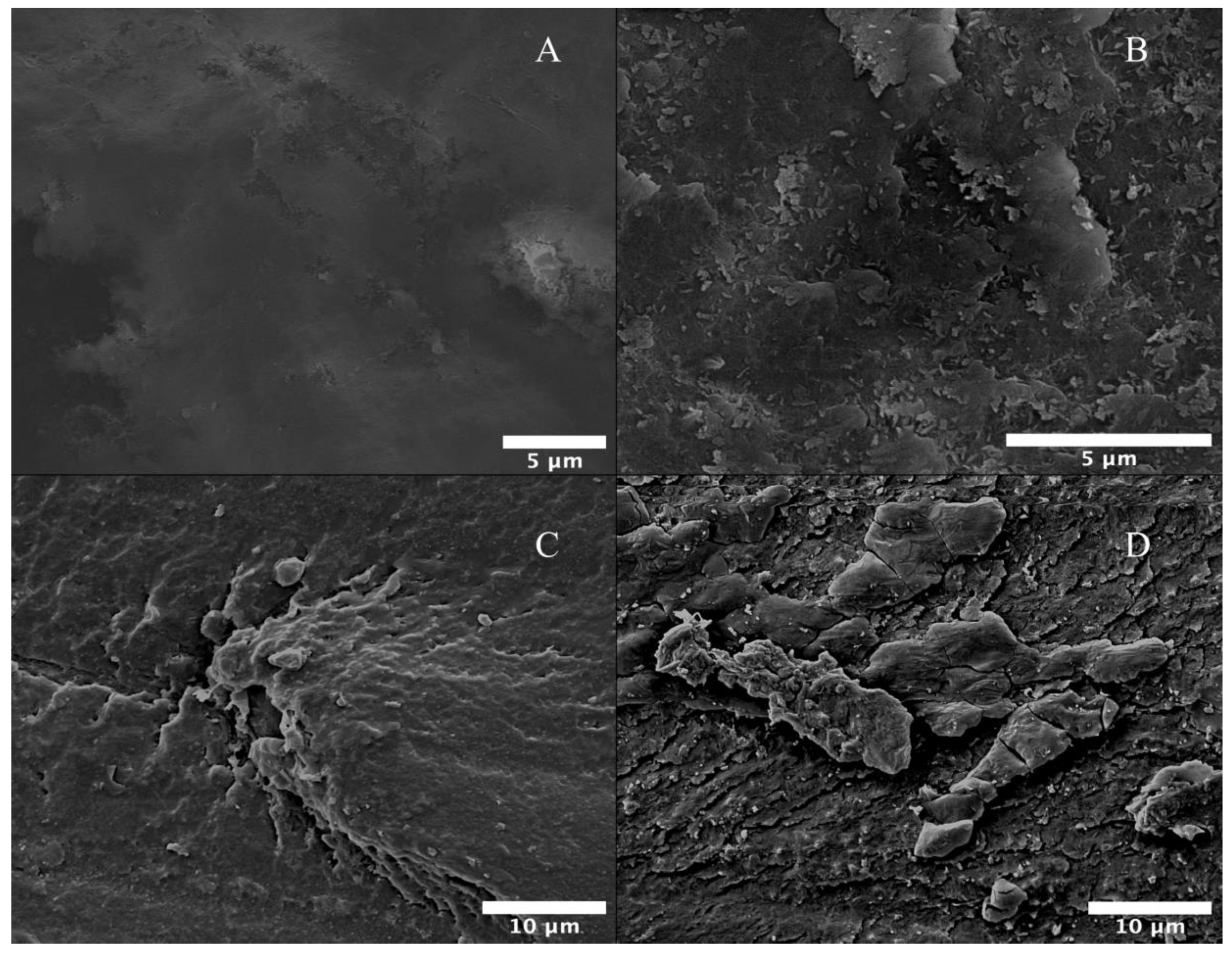 Materials 17 00171 g008