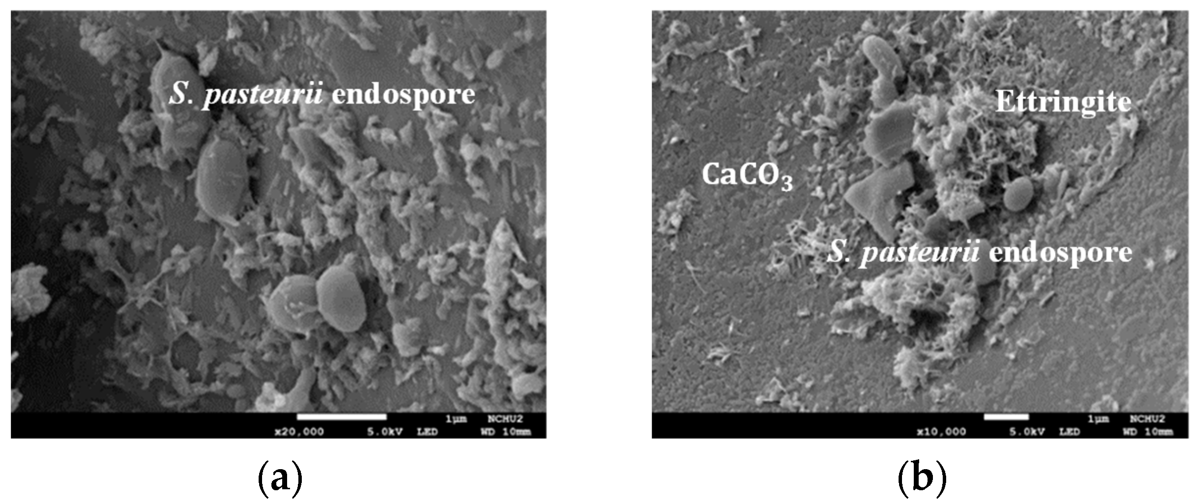 Materials 17 00214 g018