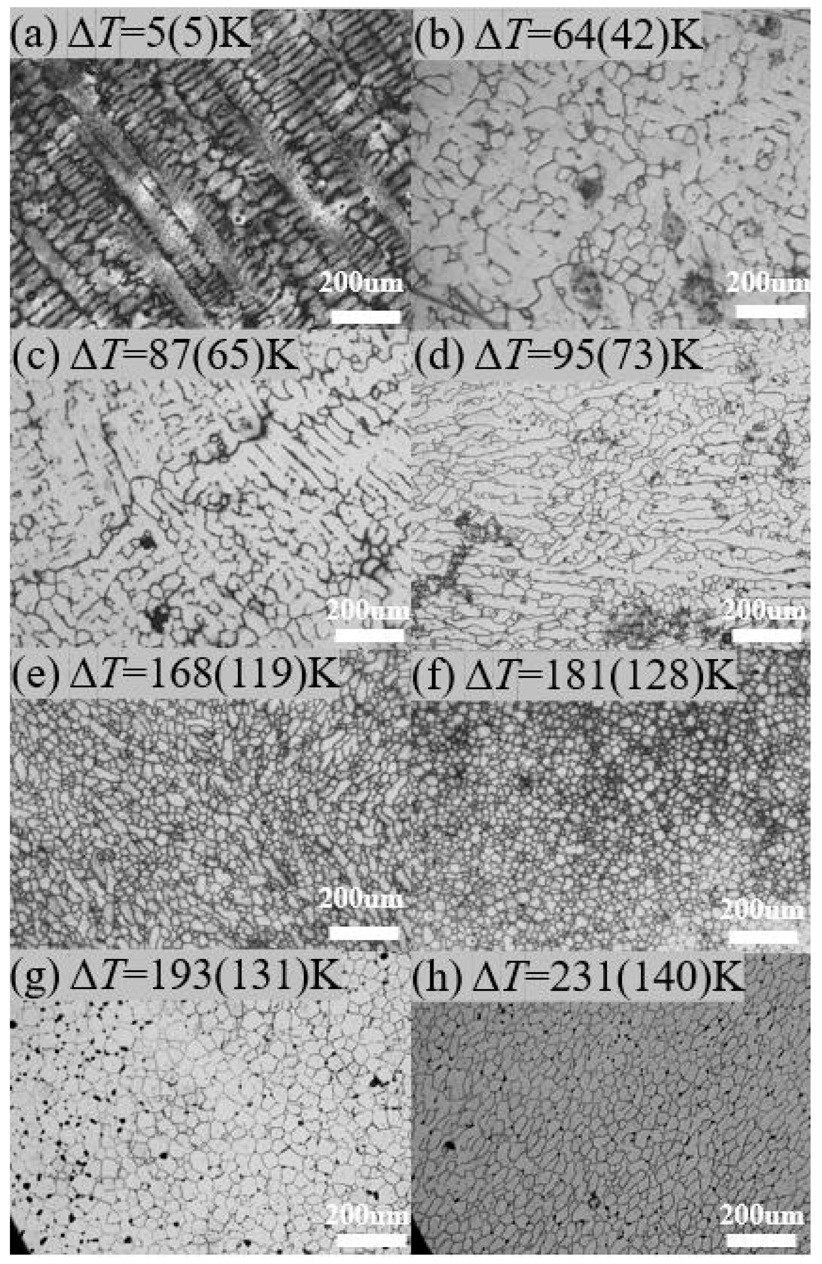 Materials 17 00231 g005