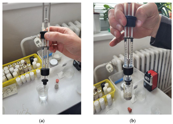 Materials 17 00236 g004