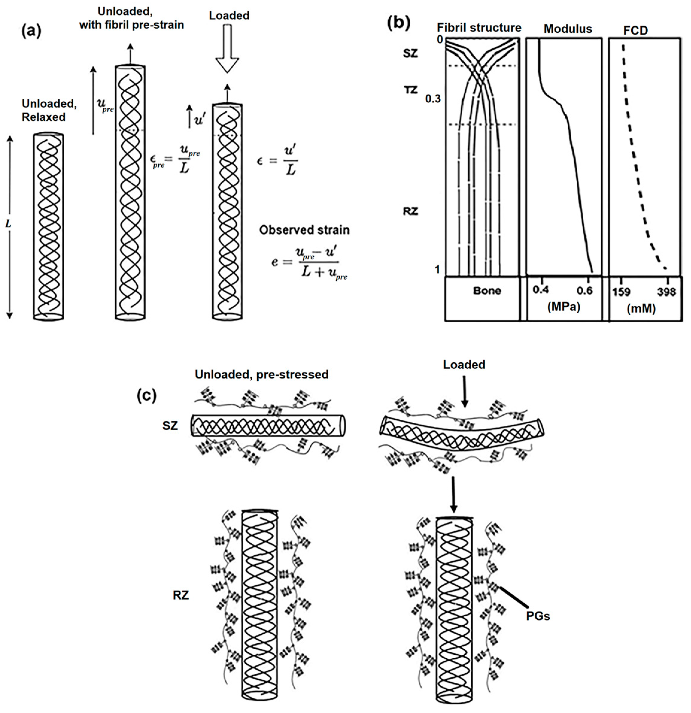 Materials 17 00238 g001 Materials 17 00238 g001