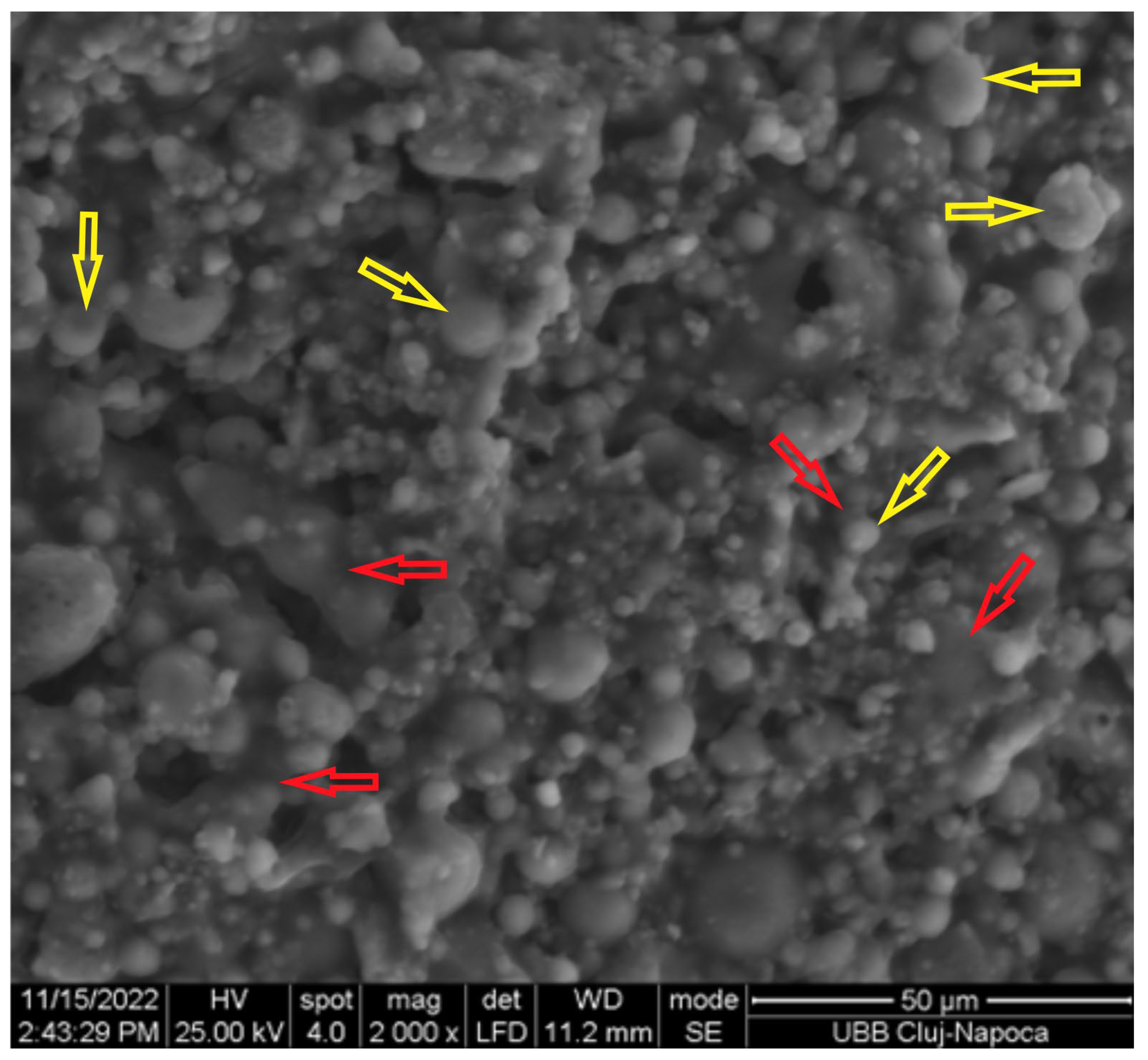 Materials 17 00248 g003