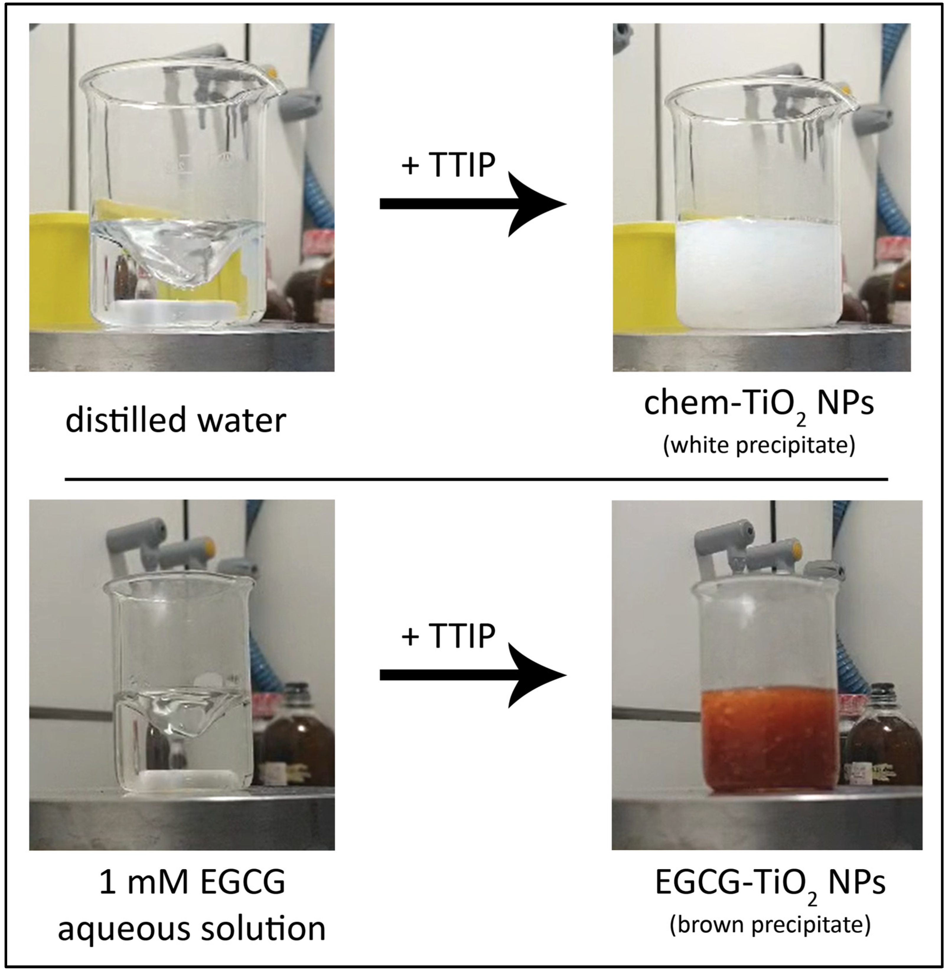 Materials 17 00275 g007