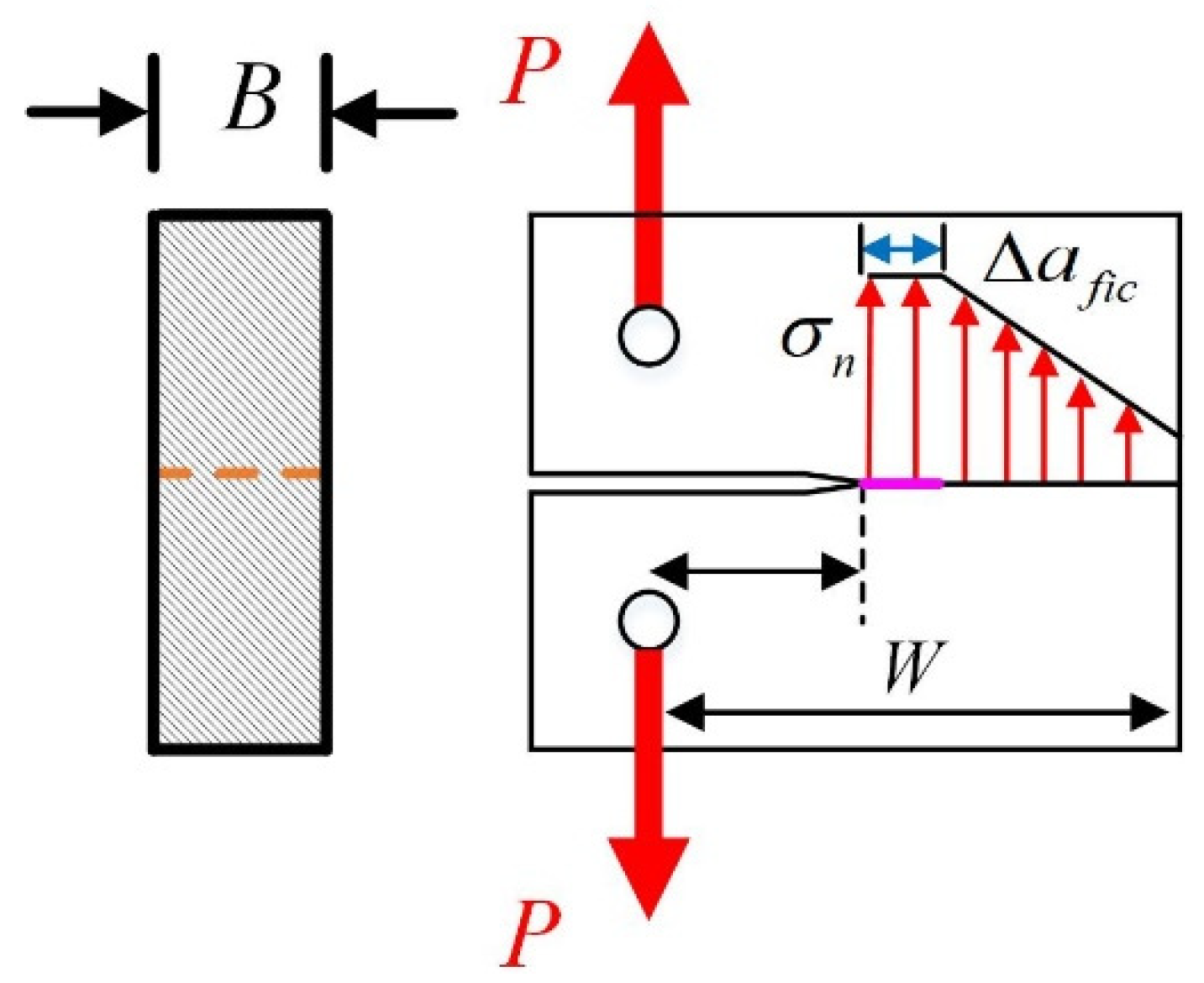 Materials 17 00282 g005