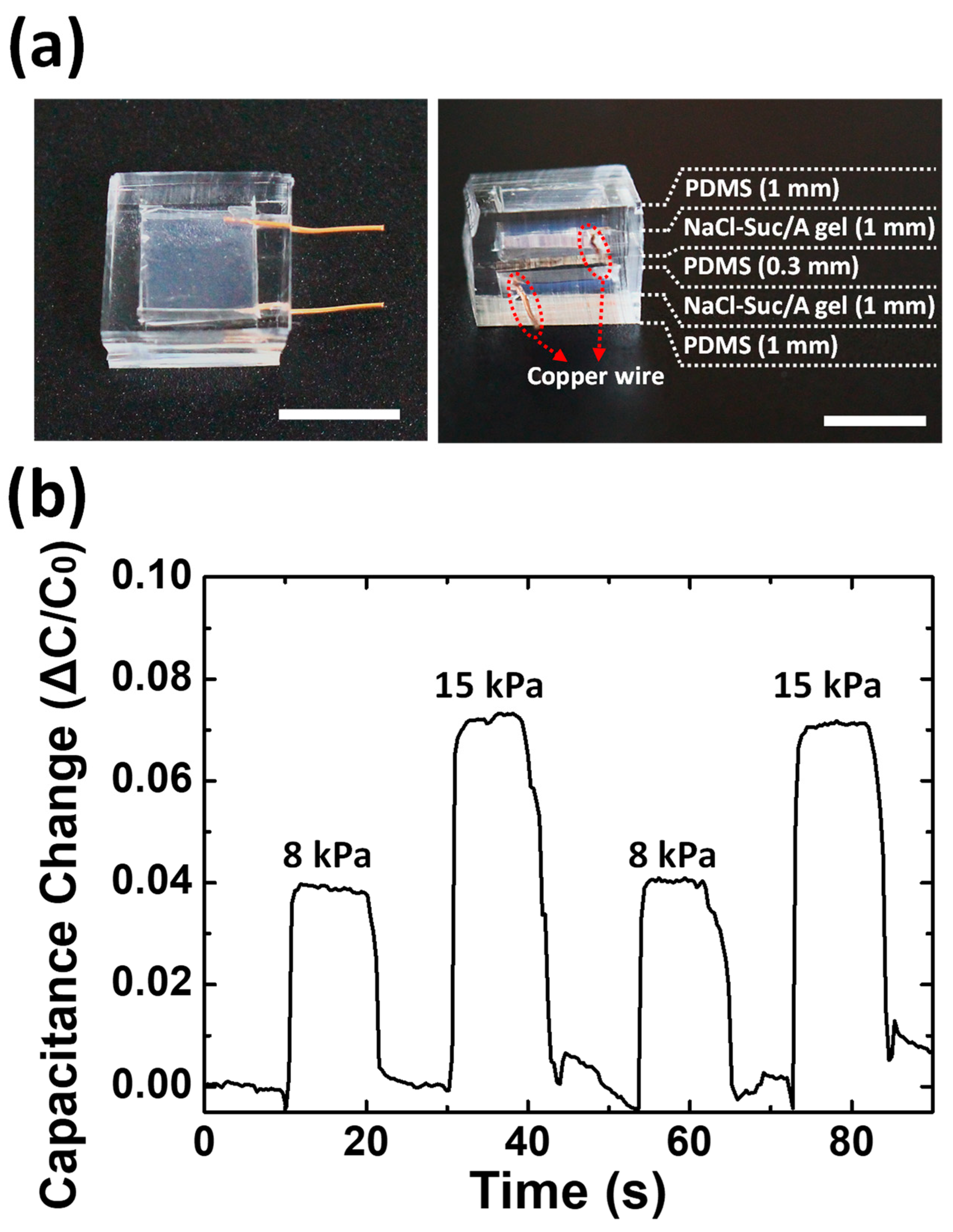Materials 17 00288 g006