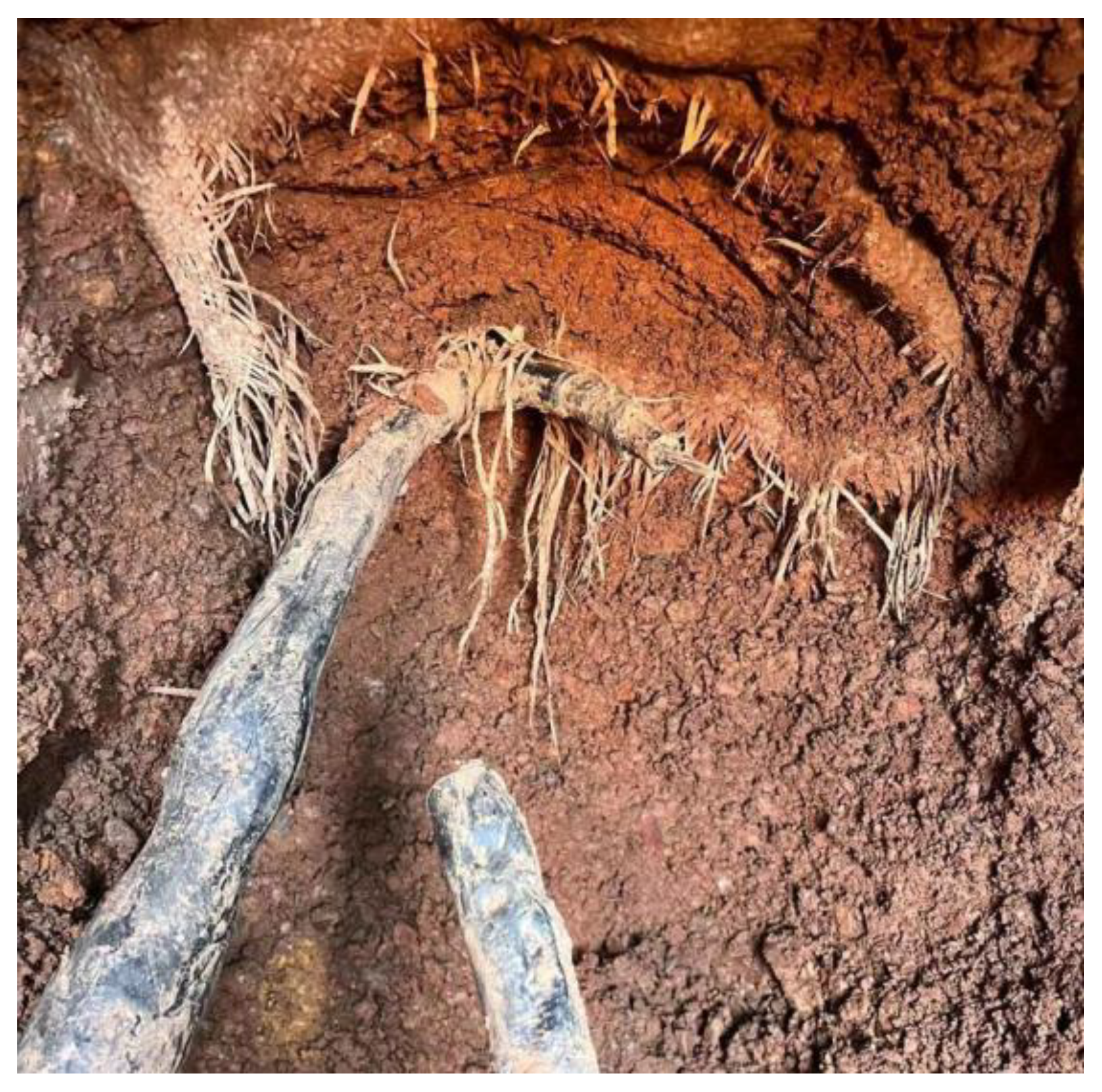 Materials 17 00291 g014