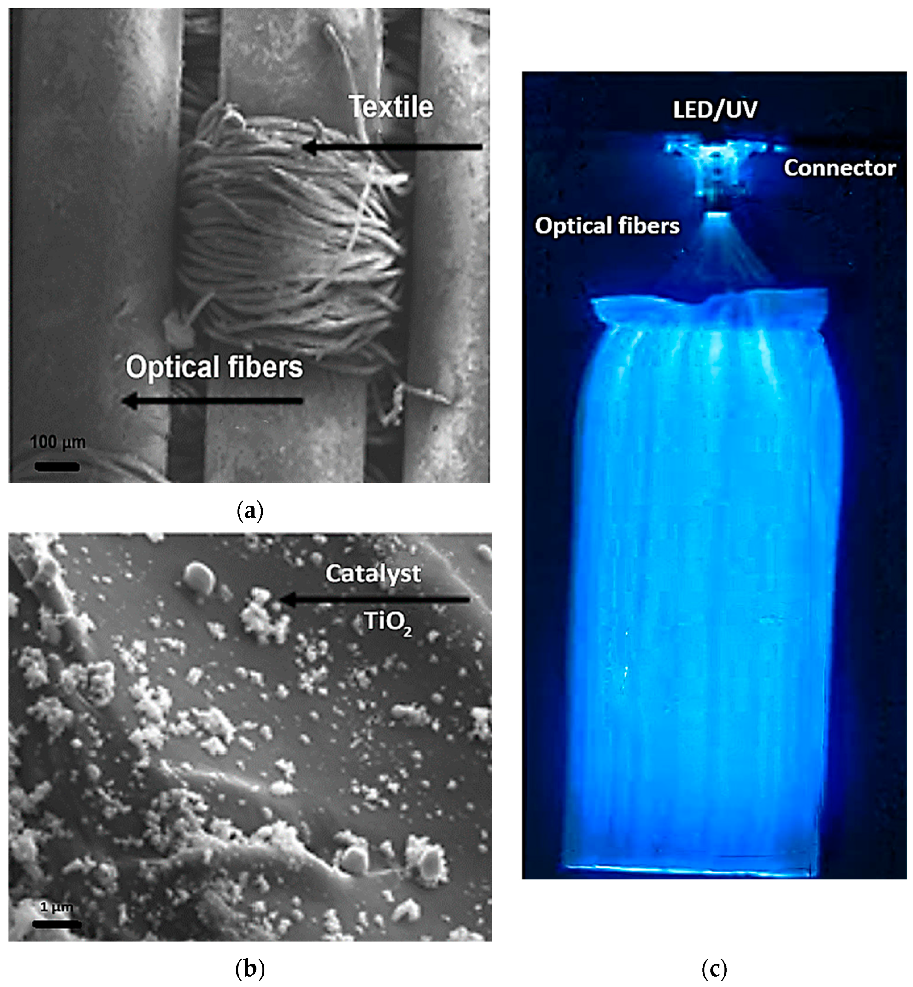 Materials 17 00296 g001