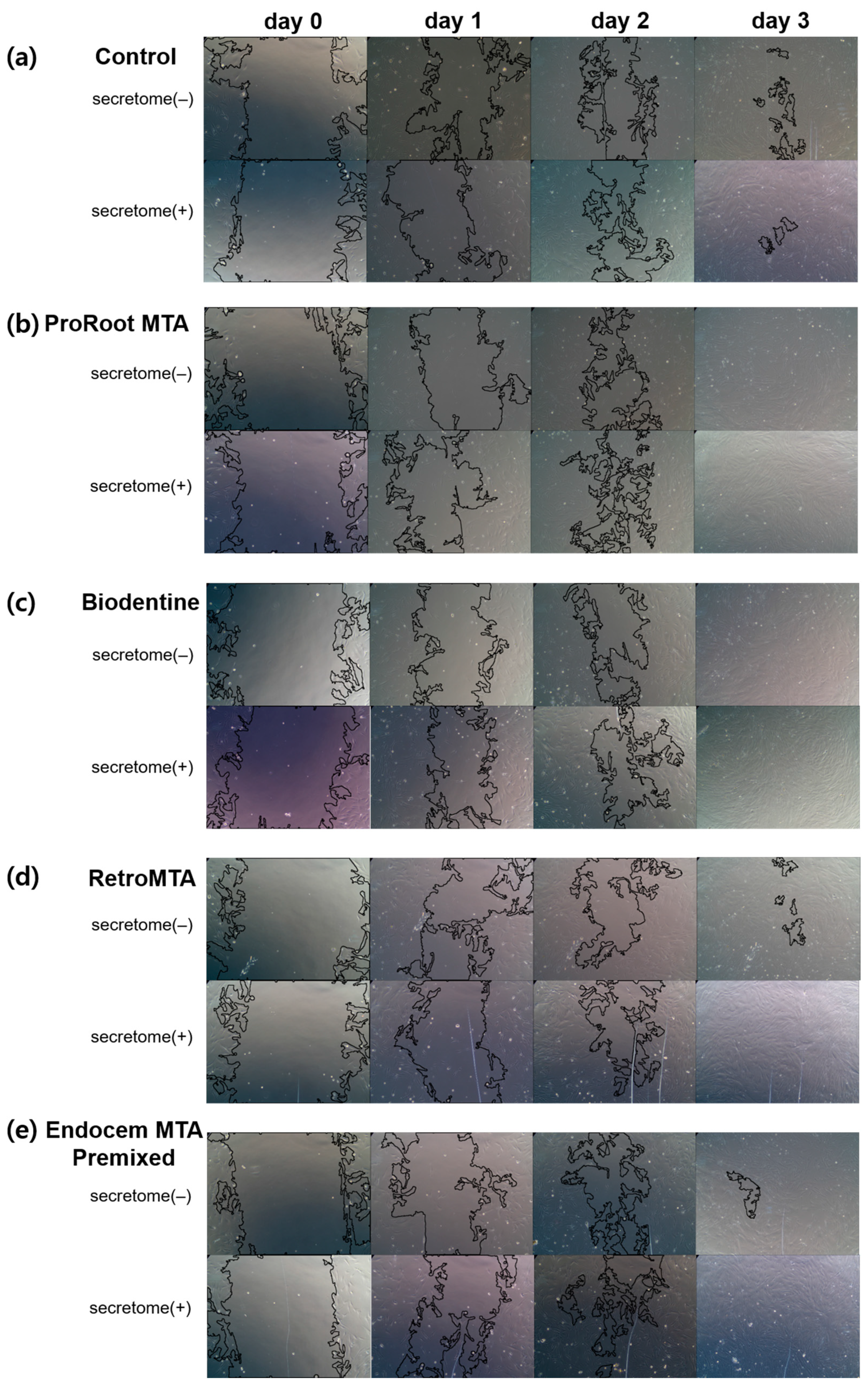 Materials 17 00305 g003